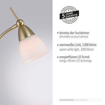 Paul Neuhaus Stehlampe PINO, LED wechselbar, Warmweiß