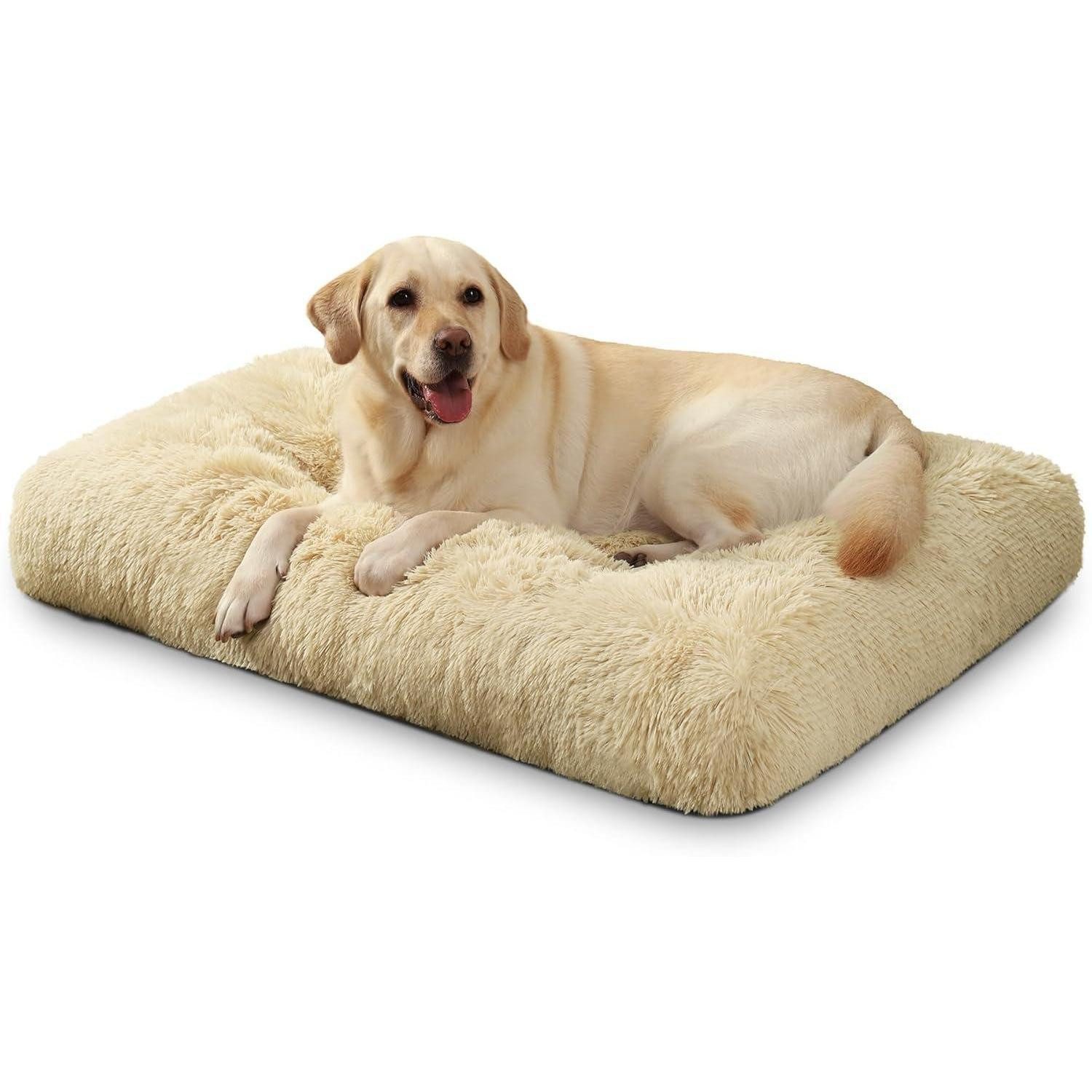 LuxusKollektion Hundebett Hundebett große Hunde waschbar Plüsch Beige L 105 x B 70 x H 9 cm