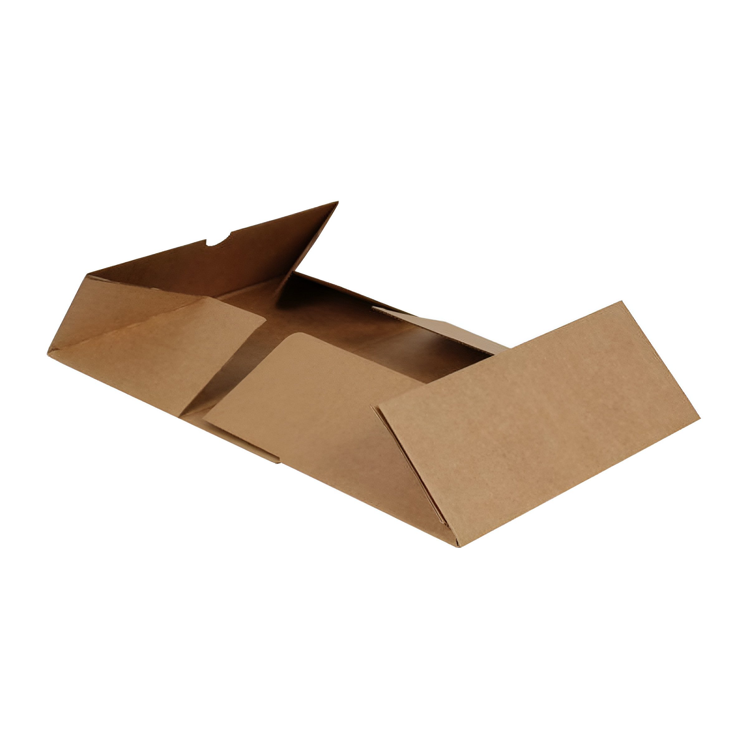 Versandkarton Klappschachtel 250x160x100 mm - Maxibriefkarton, Post, Braun