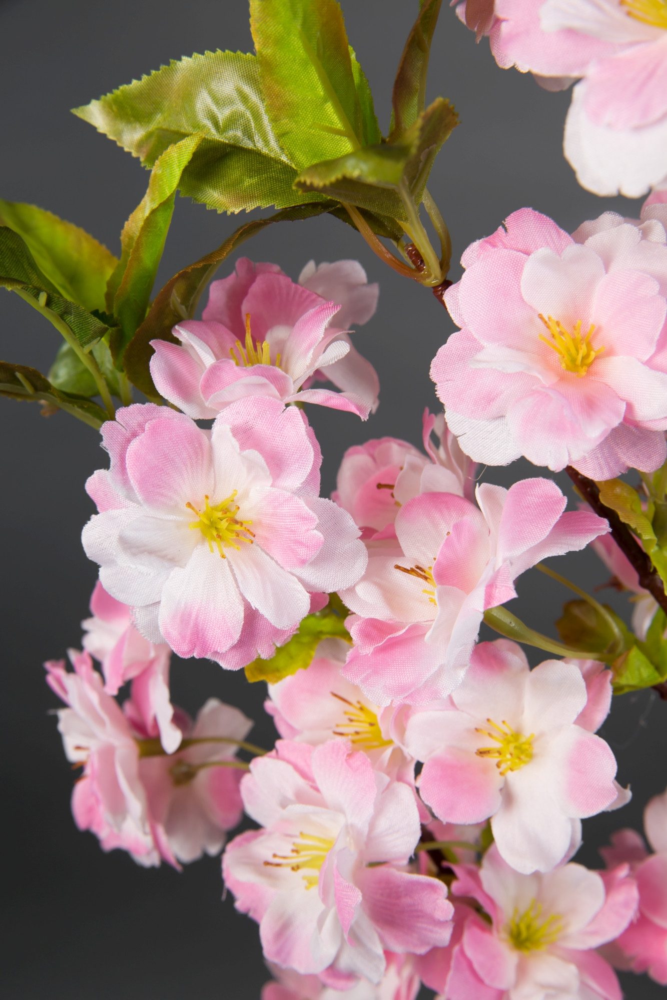 Kunstblume Kirschblütenzweig 105cm ZF künstliche Kirschblüte, Seidenblumen Roß, Höhe 105 cm, Rosa – Bild 3 von 4