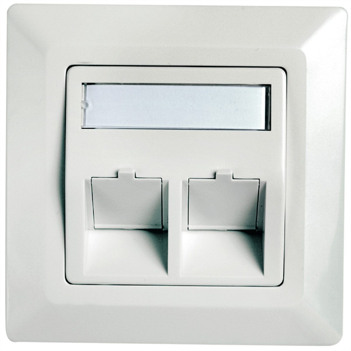 Telegärtner Unterputzdose Modulaufnahme Netzwerk-Panel (2-fach, reinweiss)