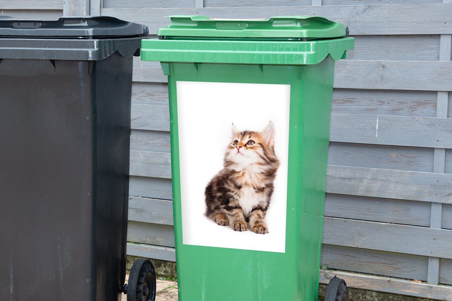 Sticker, (1 Container, Wandsticker Mülltonne, Hintergrund Mülleimer-aufkleber, Kätzchen schaut Abfalbehälter weißem vor auf St), MuchoWow