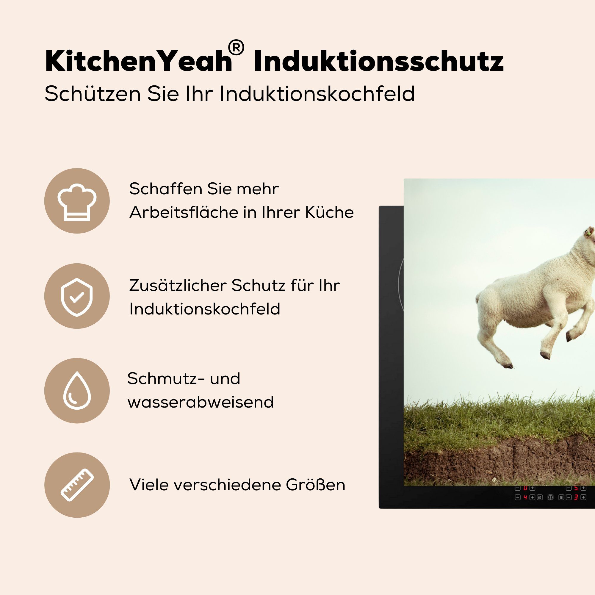 MuchoWow Herdblende-/Abdeckplatte Schaf - Lamm für - Sprung, (1 78x78 tlg), cm, Vinyl, Ceranfeldabdeckung, Arbeitsplatte küche
