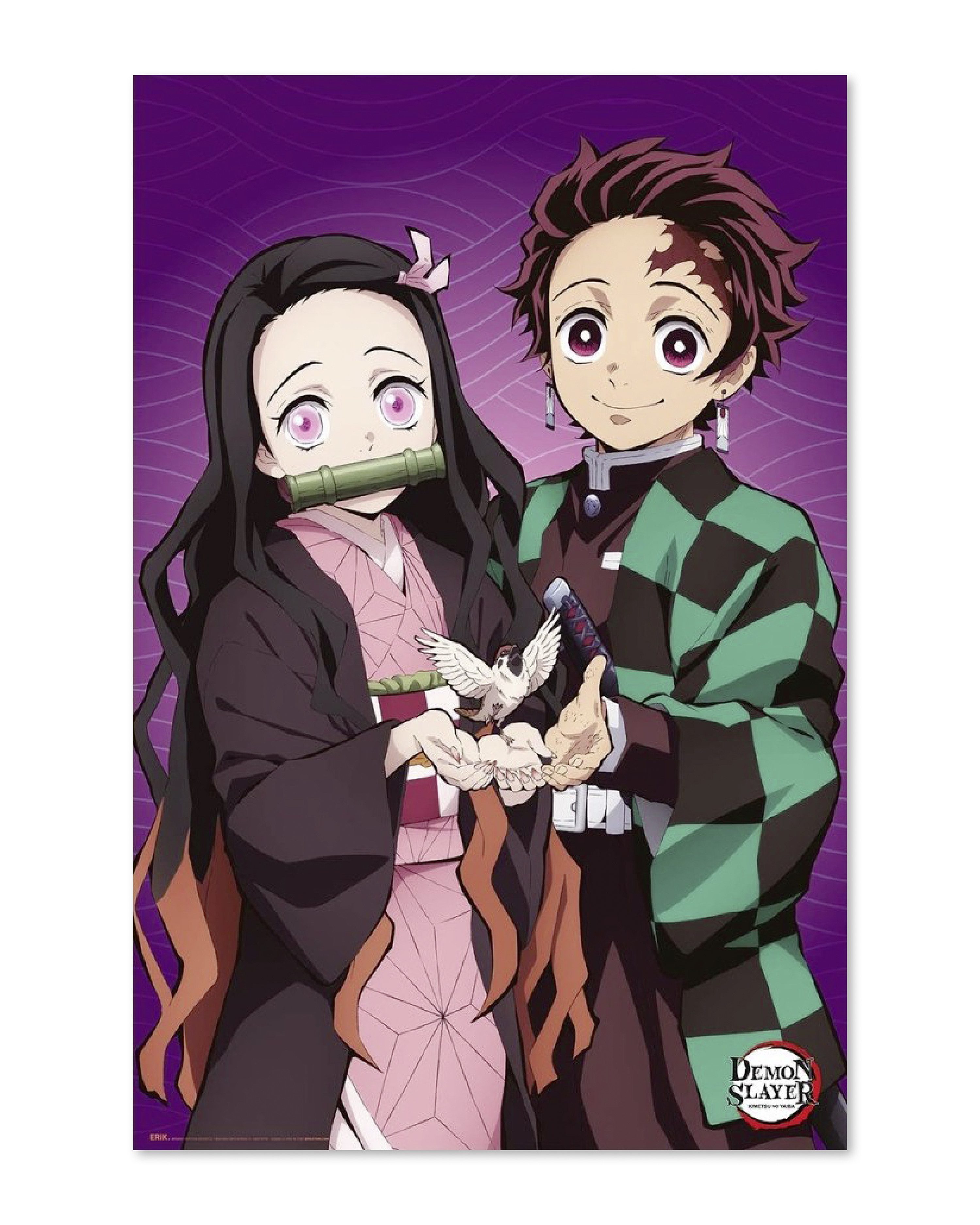 Grupo Erik Poster Demon Slayer Poster 2 The Hinokami Chronicles 61 x 91,5 cm