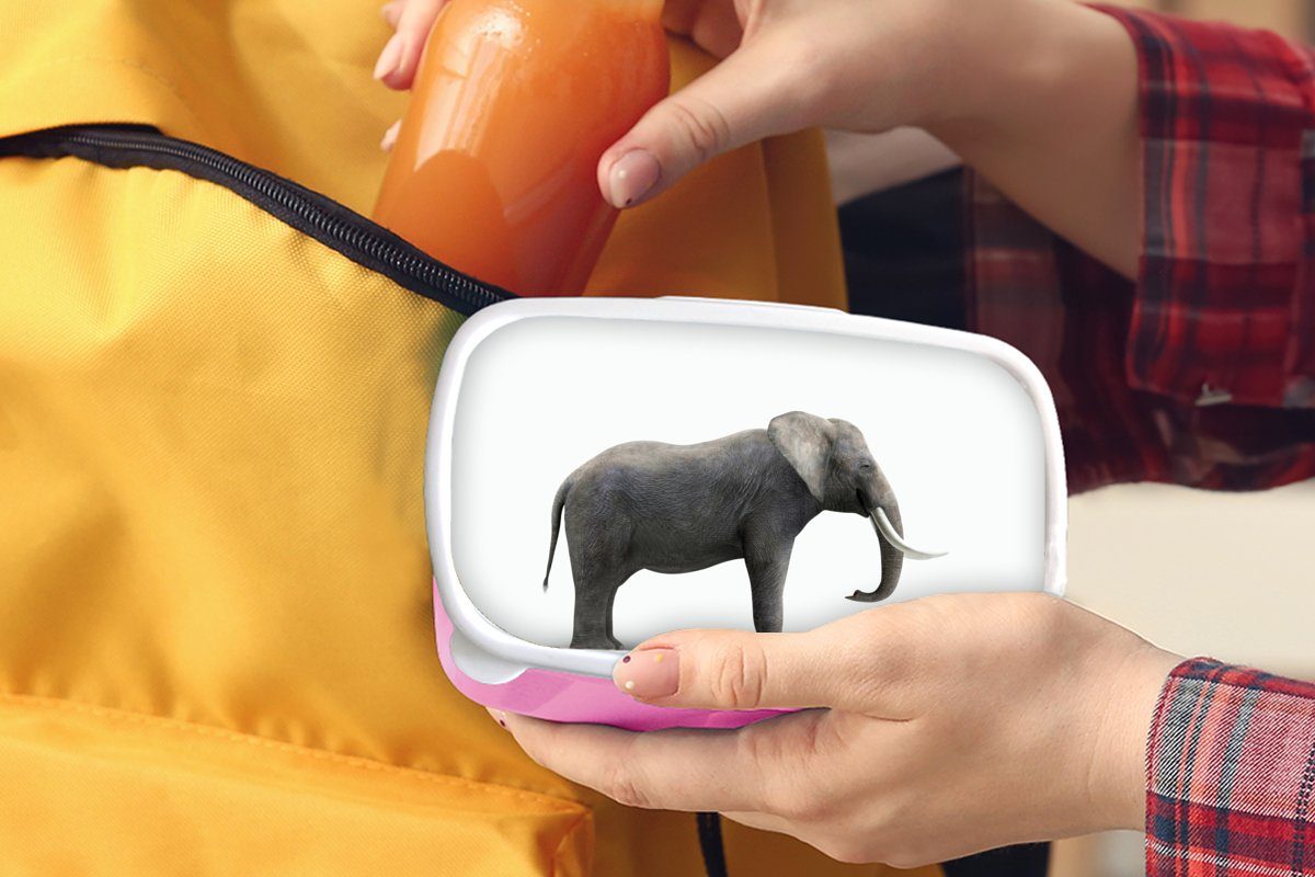 Kunststoff Snackbox, auf MuchoWow Brotbox weißem Kinder, rosa für Mädchen, Kunststoff, Lunchbox Elefant Hintergrund, (2-tlg), Erwachsene, Brotdose