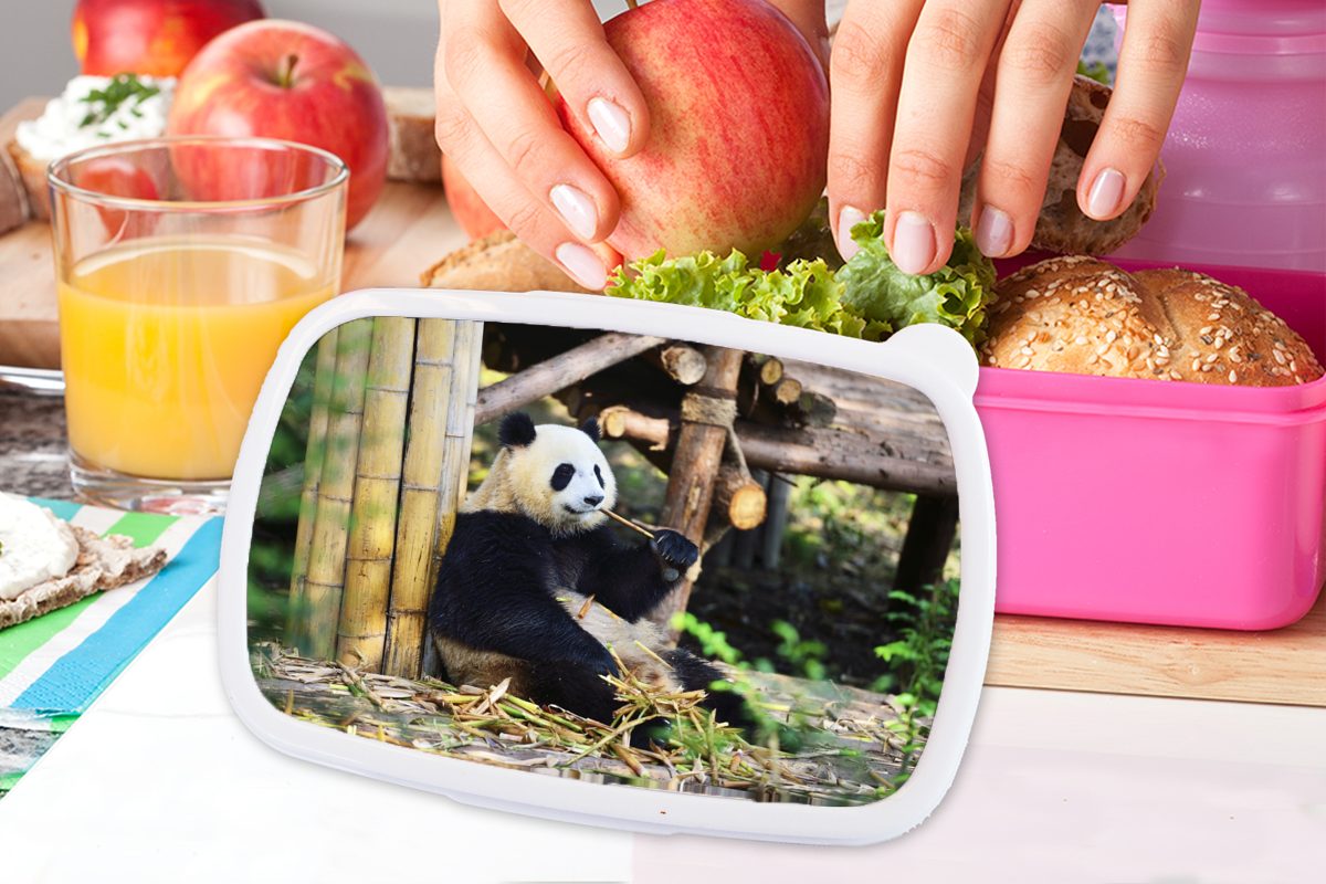 rosa Brotdose (2-tlg), Bambus, - Mädchen, Brotbox Lunchbox Kinder, - Panda Kunststoff MuchoWow für Kunststoff, Snackbox, Erwachsene, Holz