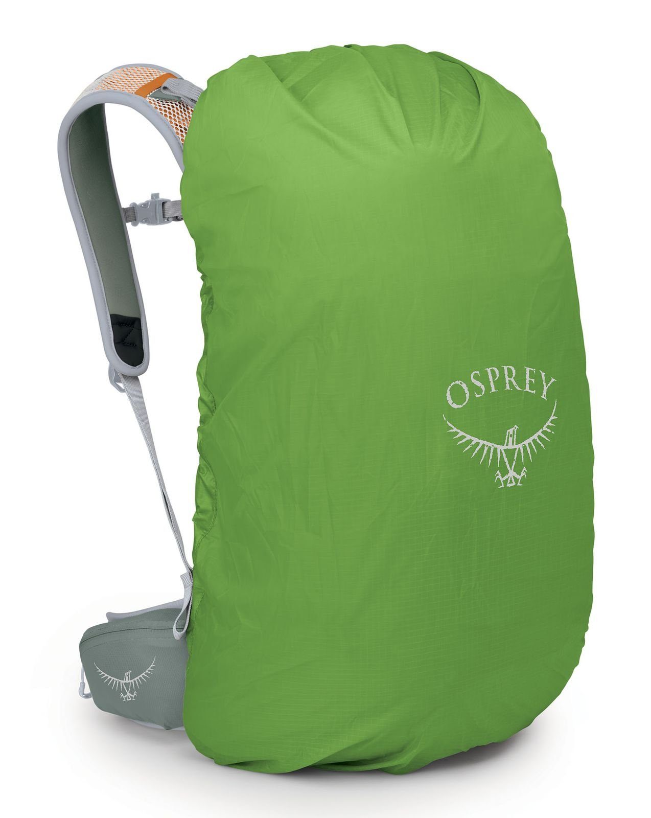 (Set) Green Leaf Rucksack Osprey Pine