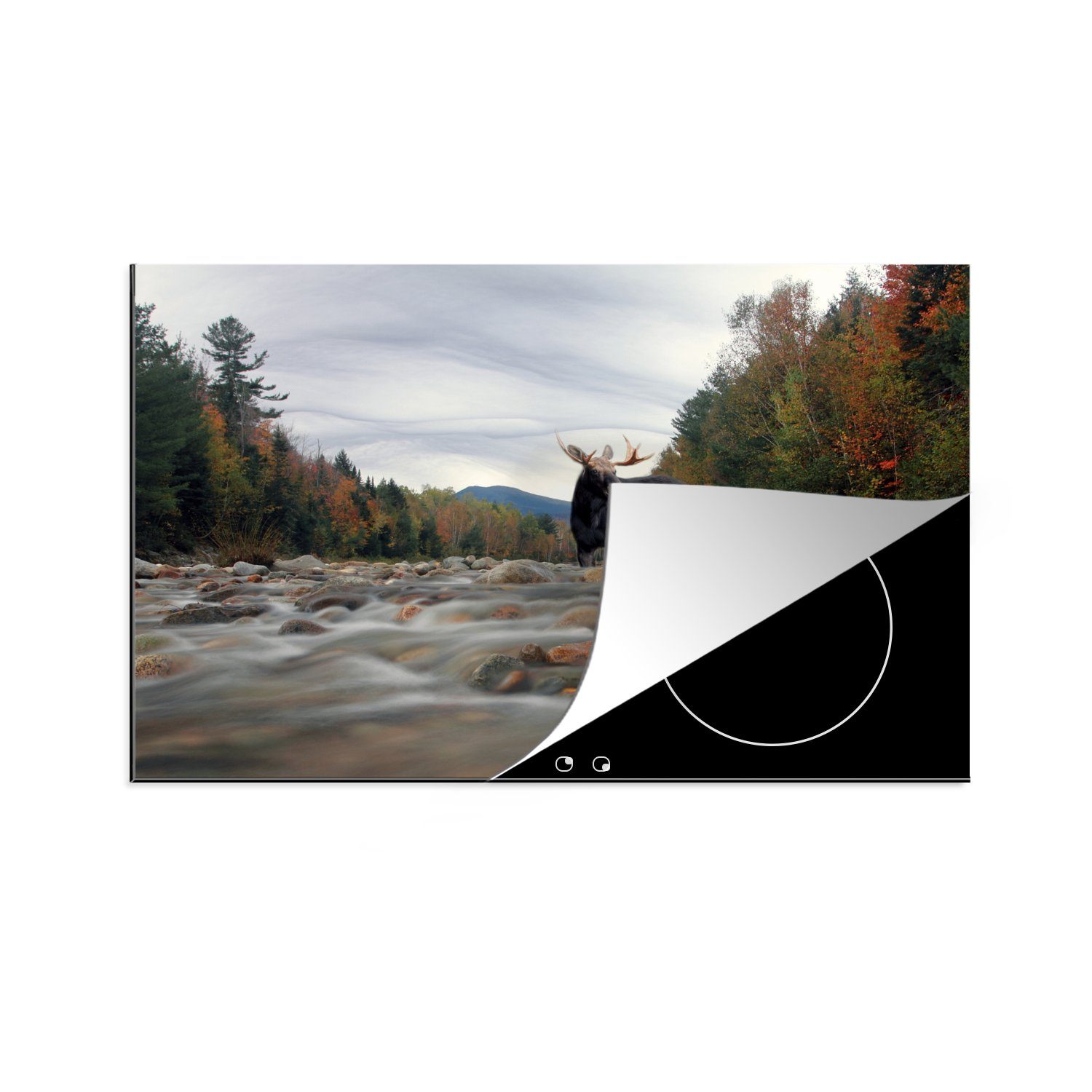 MuchoWow Herdblende-/Abdeckplatte Elch in einem Fluss in New Hampshire, Vinyl, (1 tlg), 81x52 cm, Induktionskochfeld Schutz für die küche, Ceranfeldabdeckung
