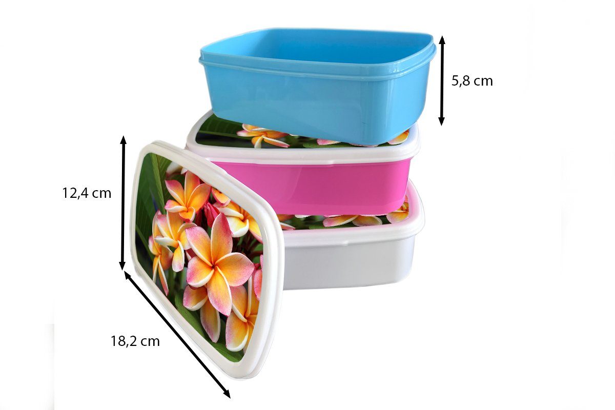 Blumen Plumeria Lunchbox - Orange, Mädchen, Kinder, Snackbox, für (2-tlg), Erwachsene, Kunststoff, MuchoWow - rosa Brotbox Kunststoff Brotdose
