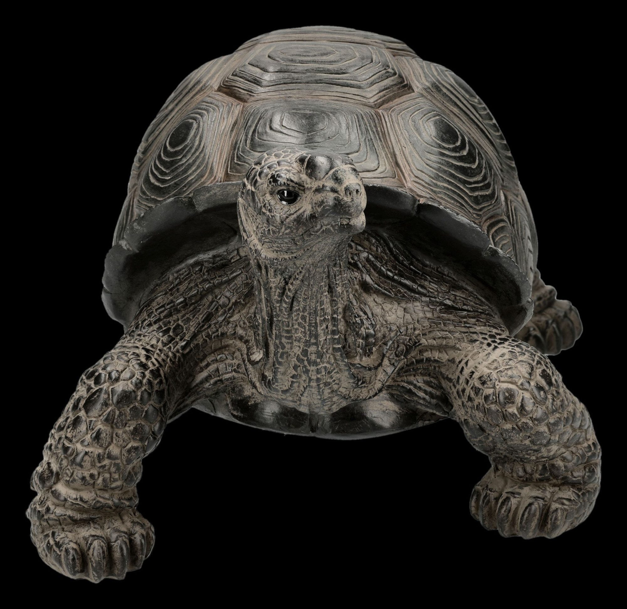 Figuren Shop GmbH Gartenfigur Schildkröte Figur – Garten Deko Tier Statue wetterfest 28 cm Dekofigur