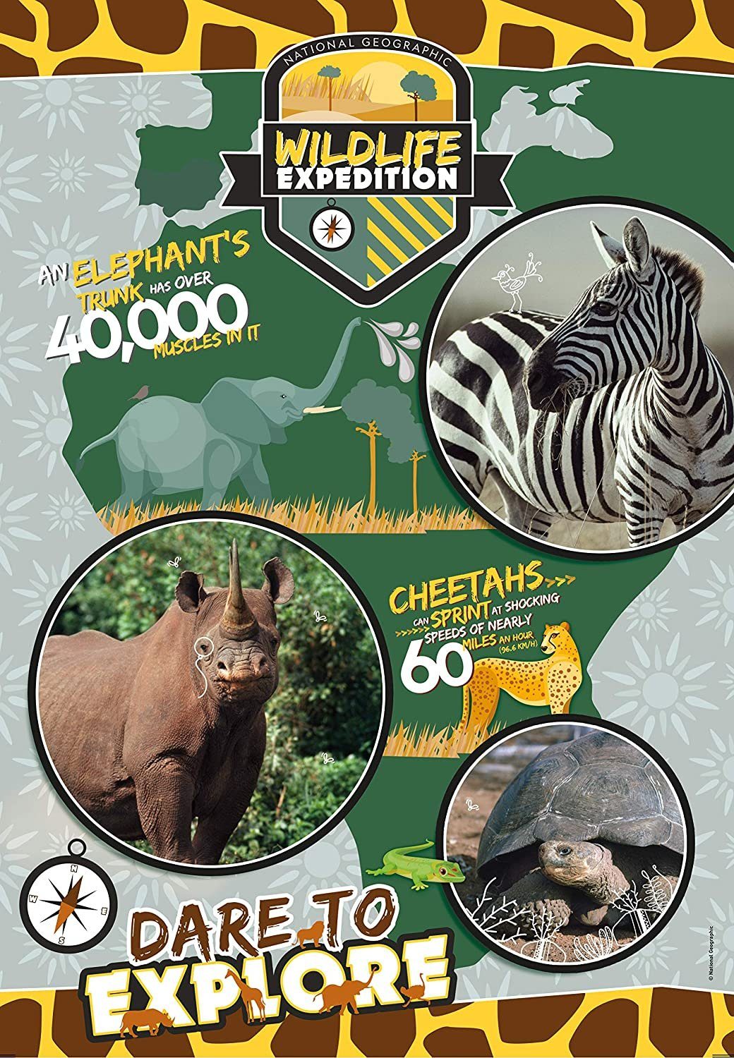 Puzzle Geographic 180 Teile), Kids Clementoni® Puzzleteile Wildlife Expedition (180 National Puzzle