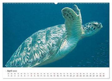 CALVENDO Wandkalender Faszination blaue Welt (Premium, hochwertiger DIN A2 Wandkalender 2023, Kunstdruck in Hochglanz)