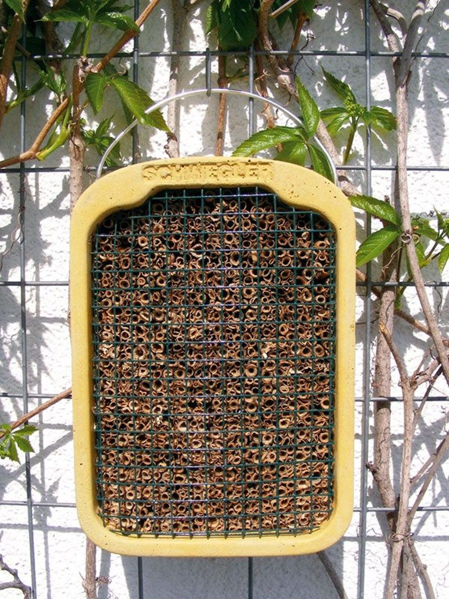 Schwegler Insektenhotel Naturschutzprodukt Insektennistschilf Holzbeton H 30 cm Insektenhotel