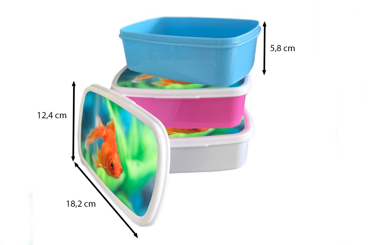 und Süßwasseraquarium, für MuchoWow Brotdose, Goldfisch Kunststoff, Lunchbox in für Erwachsene, Brotbox Jungs und einem (2-tlg), Kinder Mädchen weiß