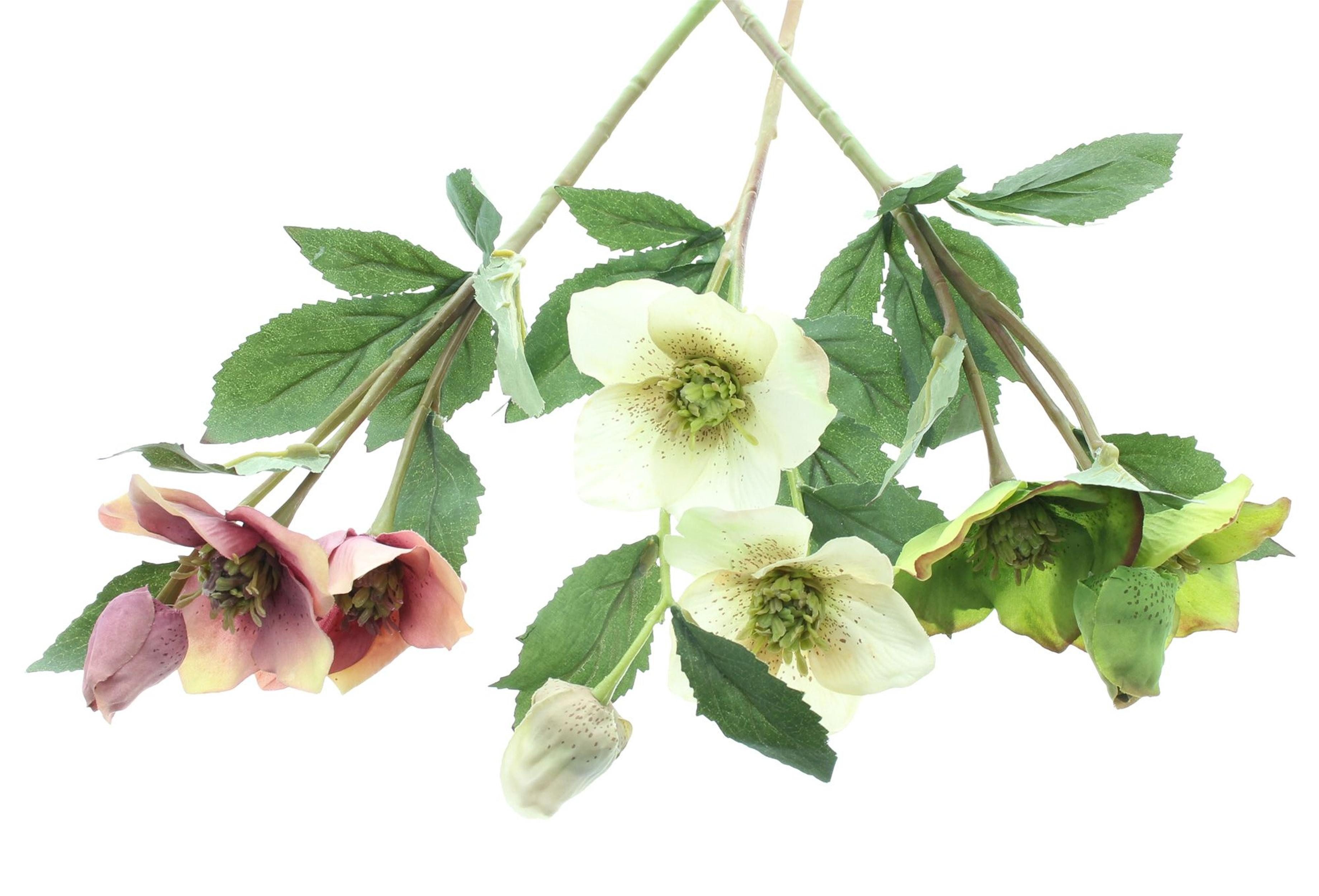 Kunstblume Kunstblume "Christrose", 3er Set