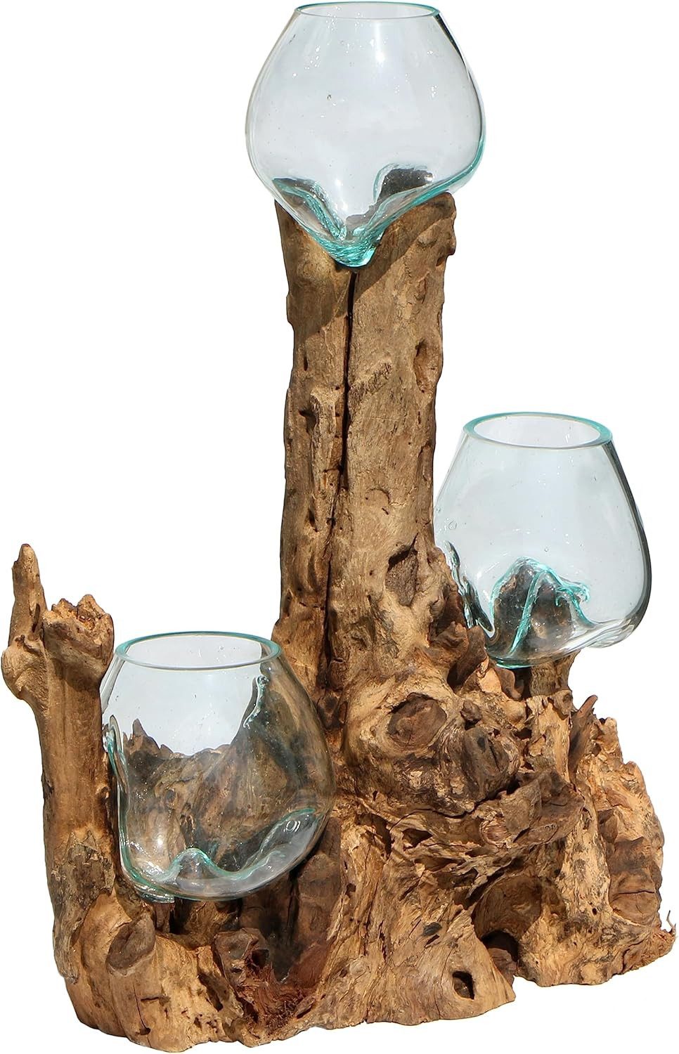Wogeka Dekovase 3er Glas-Vase auf Wurzel-Holz Gamal Teakholz