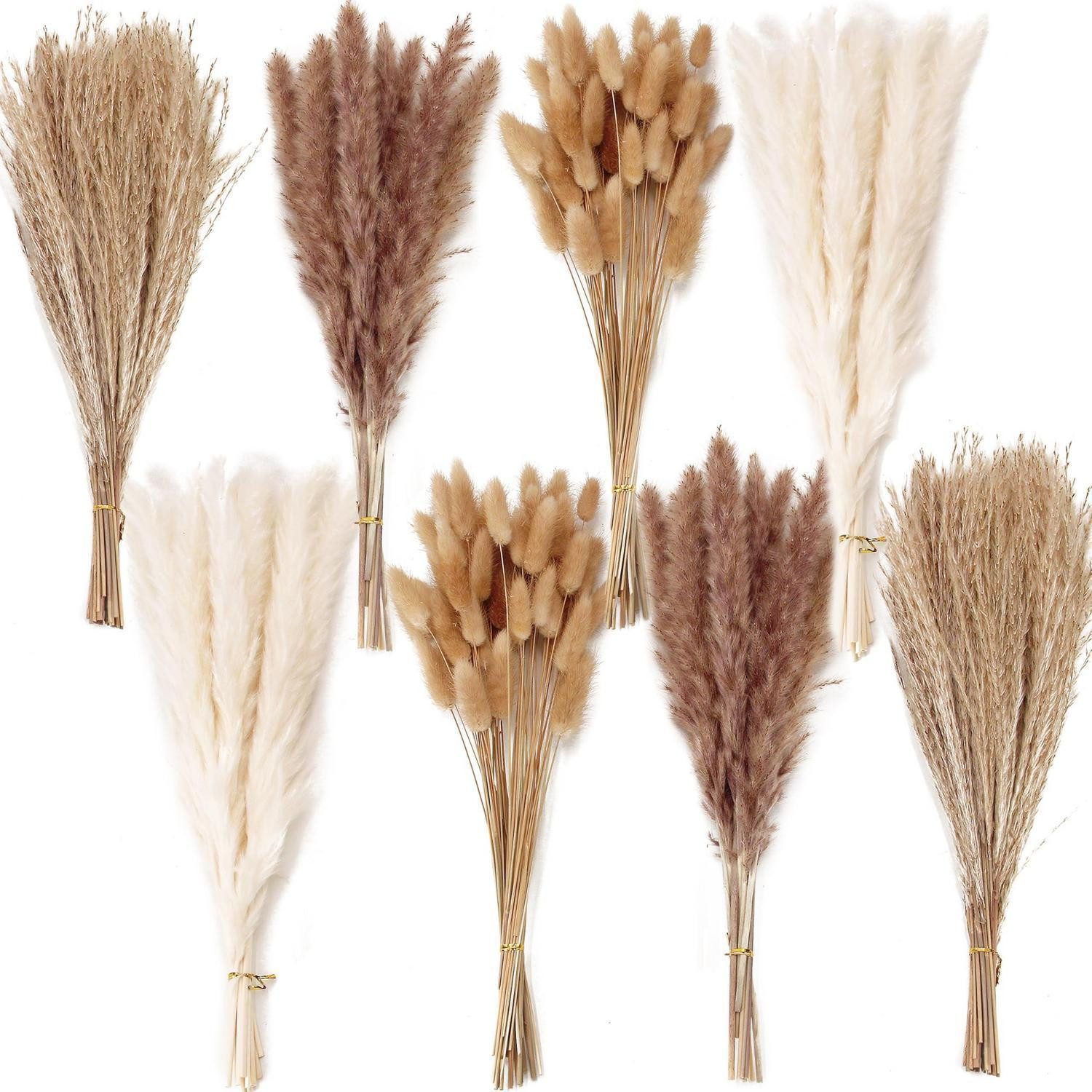 Trockenblume Trockenblumenstrauß Pampasgras Boho Deko, LuxusKollektion, Höhe 10 cm