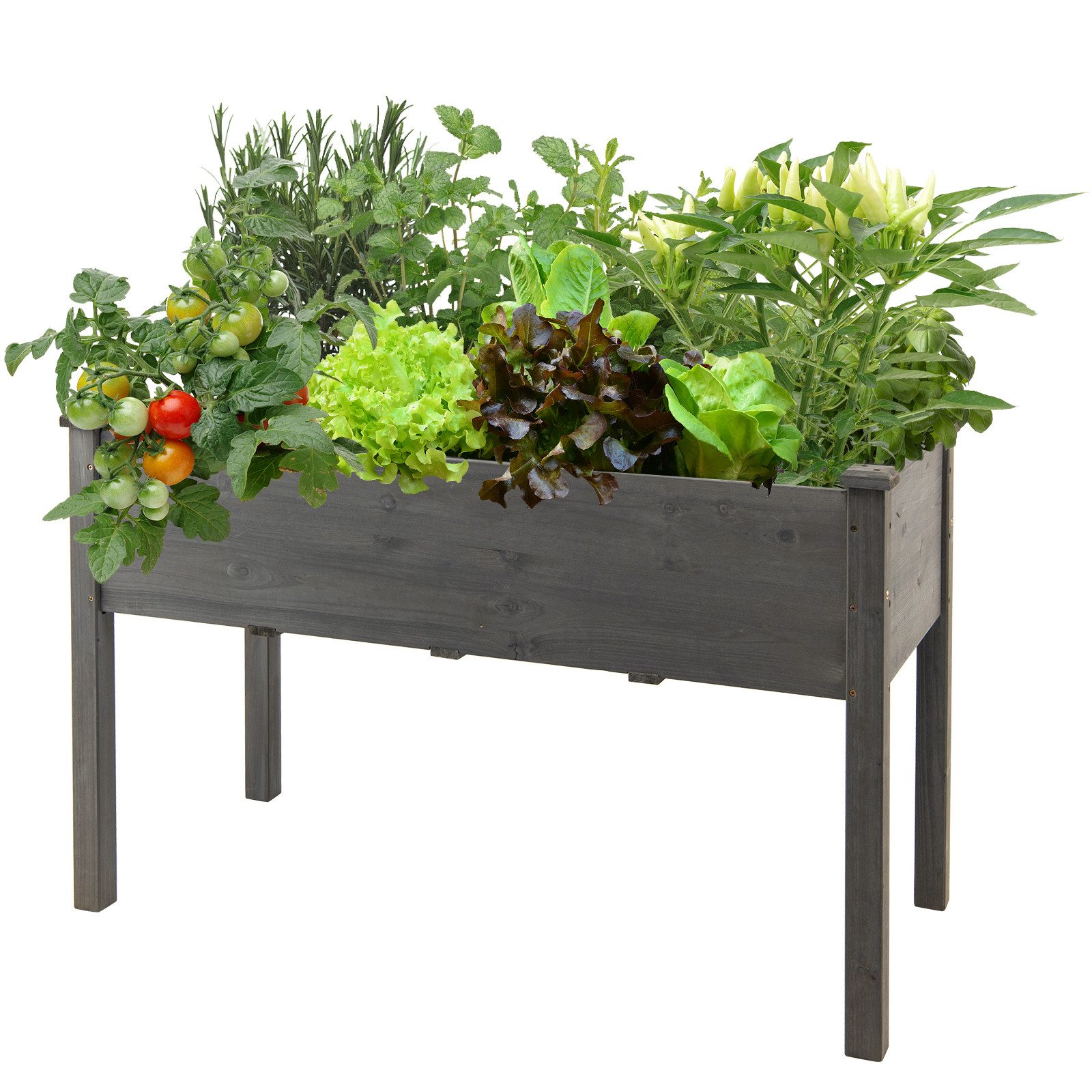 COSTWAY Hochbeet (1 St), Frühbeet, Pflanzkasten, Holz, 125x59x76 cm
