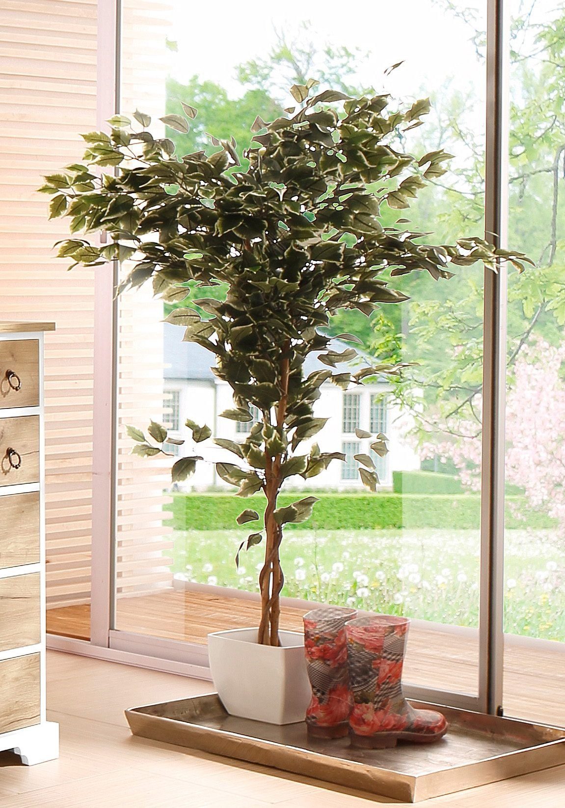 Kunstpflanze Ficus Benjamini Ficus Benjamini, Creativ green, Höhe 150 cm günstig online kaufen