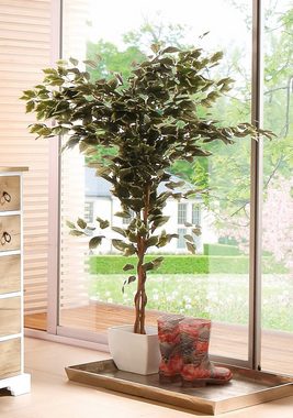 Kunstpflanze Ficus Benjamini Ficus Benjamini, Creativ green, Höhe 150 cm