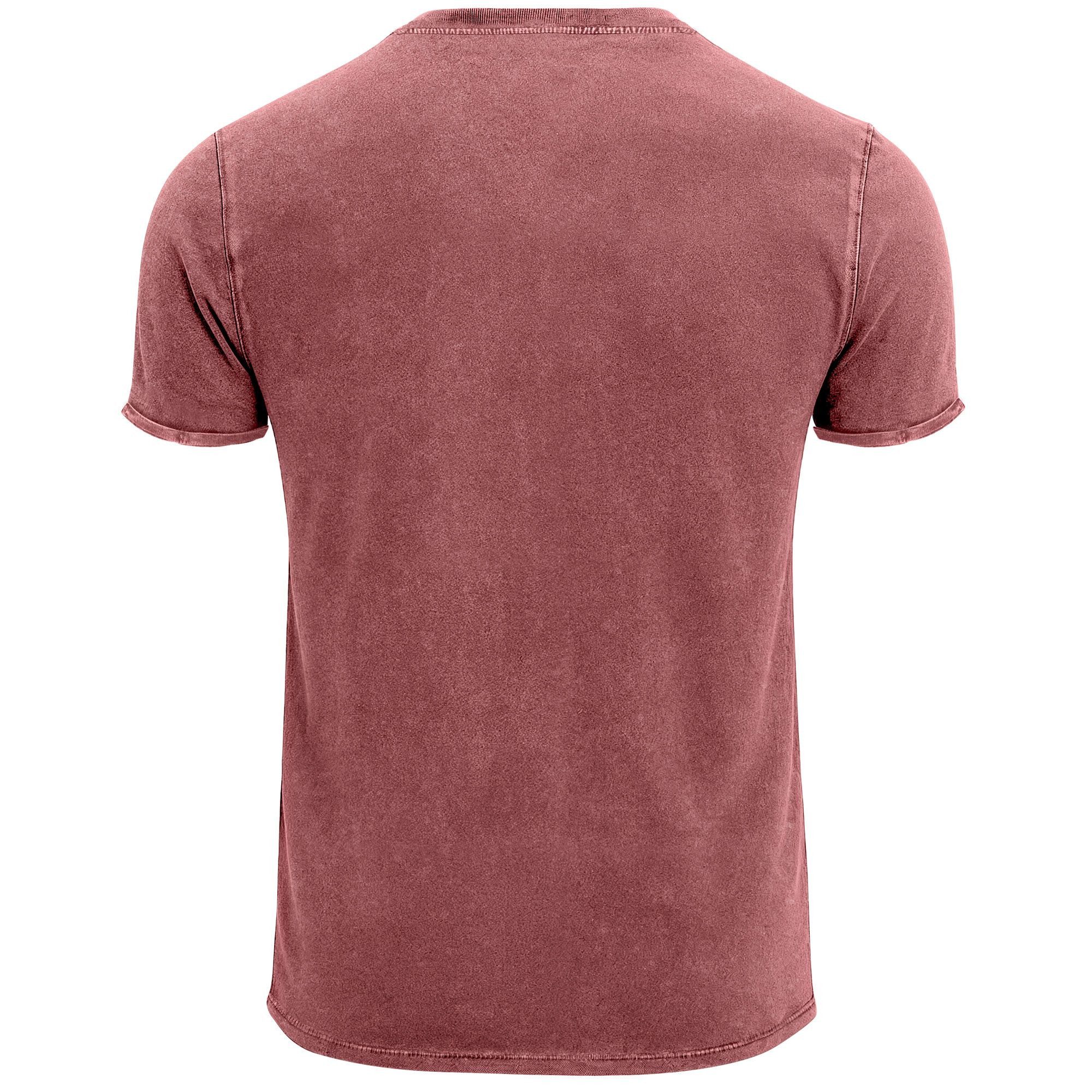Neverless Print-Shirt Herren T-Shirt mit Palmen Logo – Vintage Waschoptik Kurzarmshirt aus mit Print