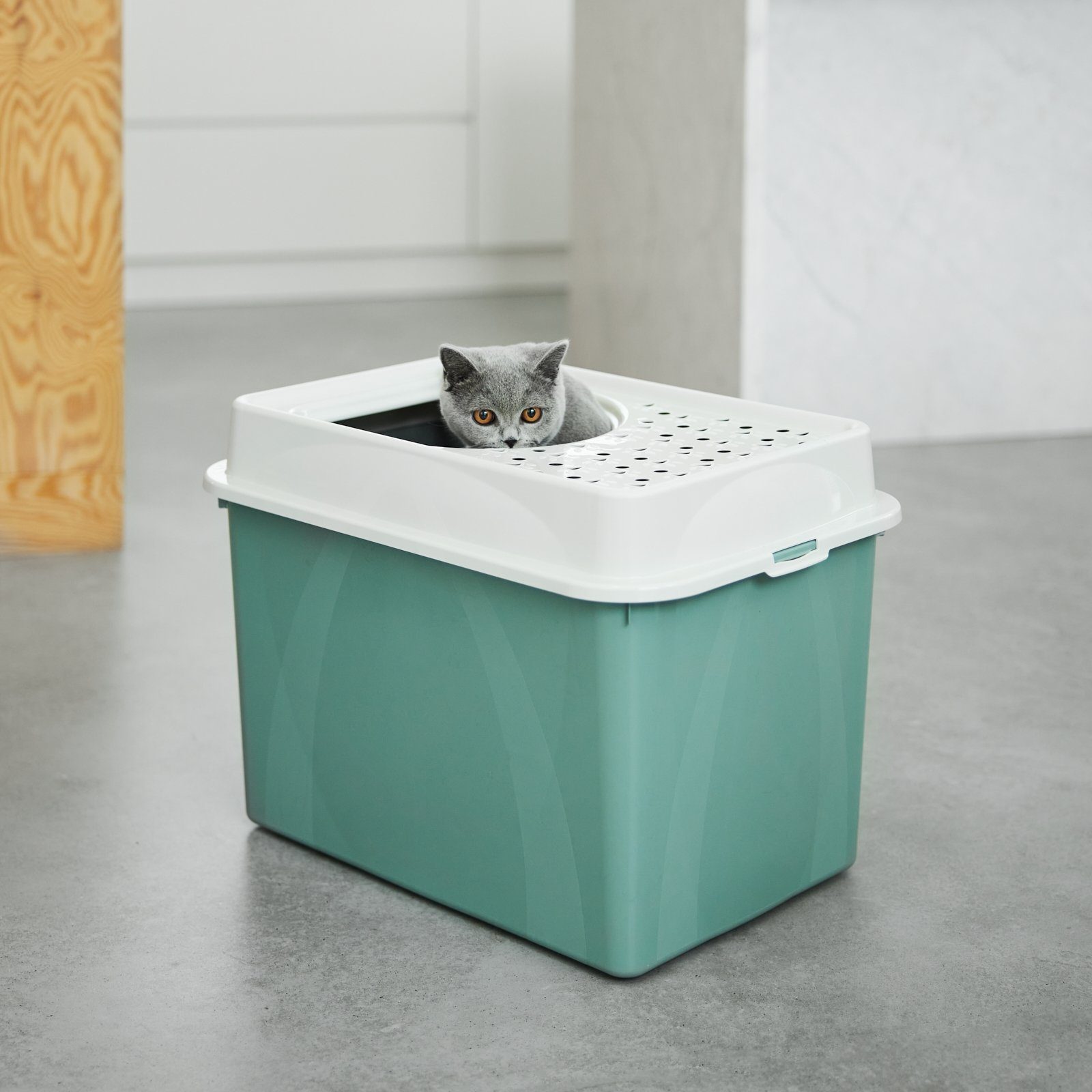 ROTHO Katzentoilette MyPet Eco Berty Katzenklo mit Top-Eingang, Kunststoff (PP recycelt)