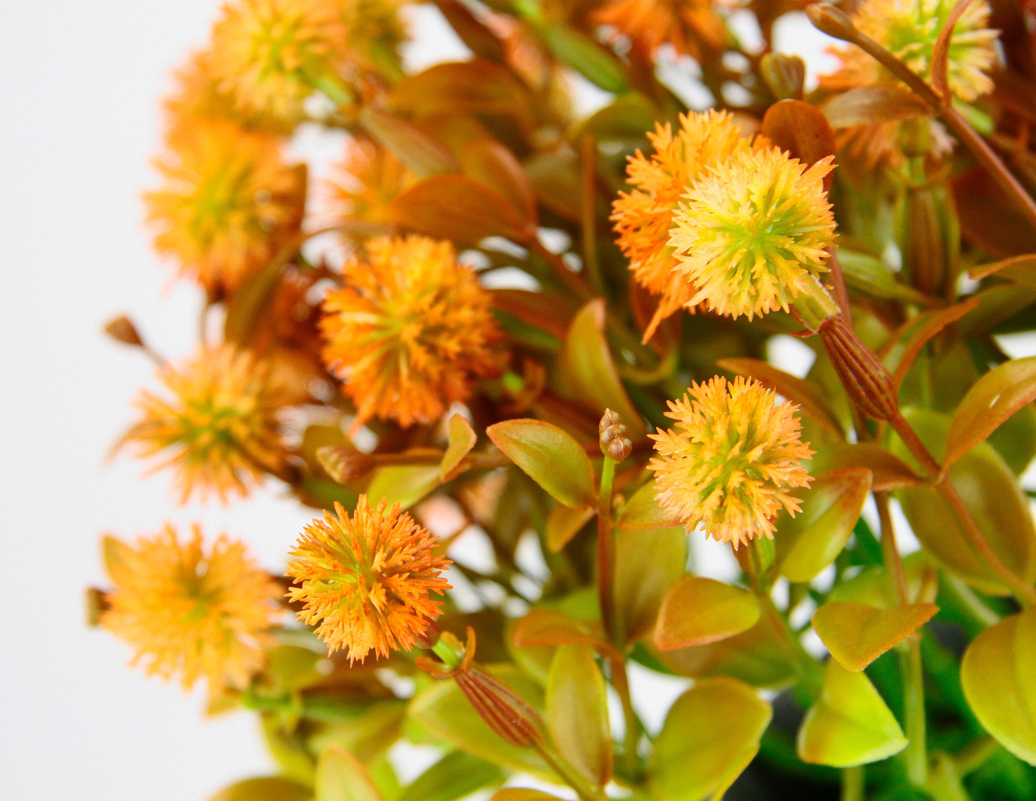 Kunstpflanze Margerite im Topf Korbblüter, I.GE.A., Höhe 23 cm, Künstliche Blumen Blütenbusch Busch Tischdeko Pflanze Kunstblumen Deko – Bild 2 von 3
