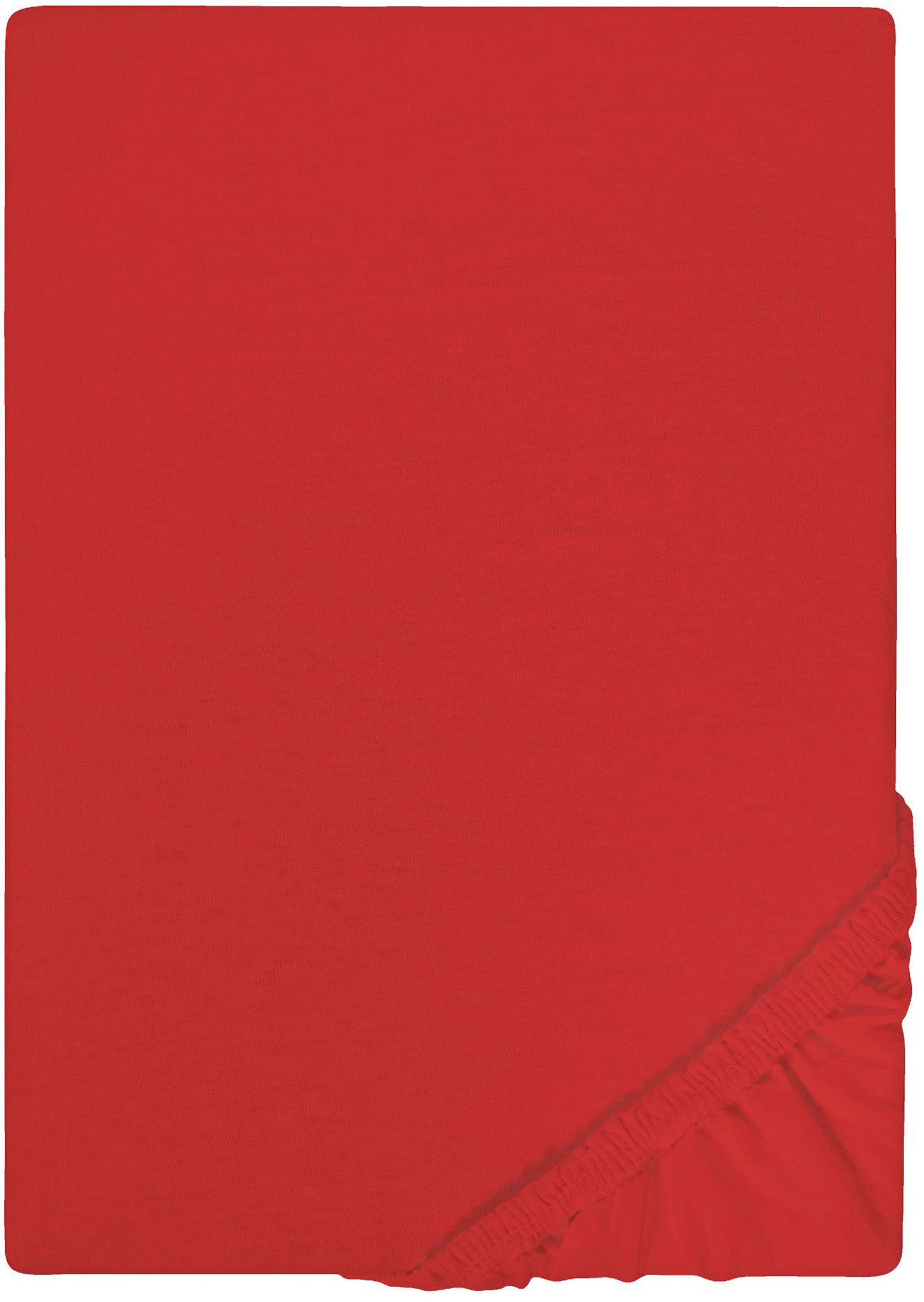 Castell - Markenbettwäsche Spannbettlaken Jersey-Kids, Jersey, günstig online kaufen