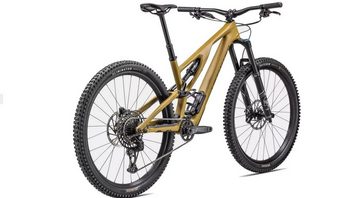 Specialized Mountainbike