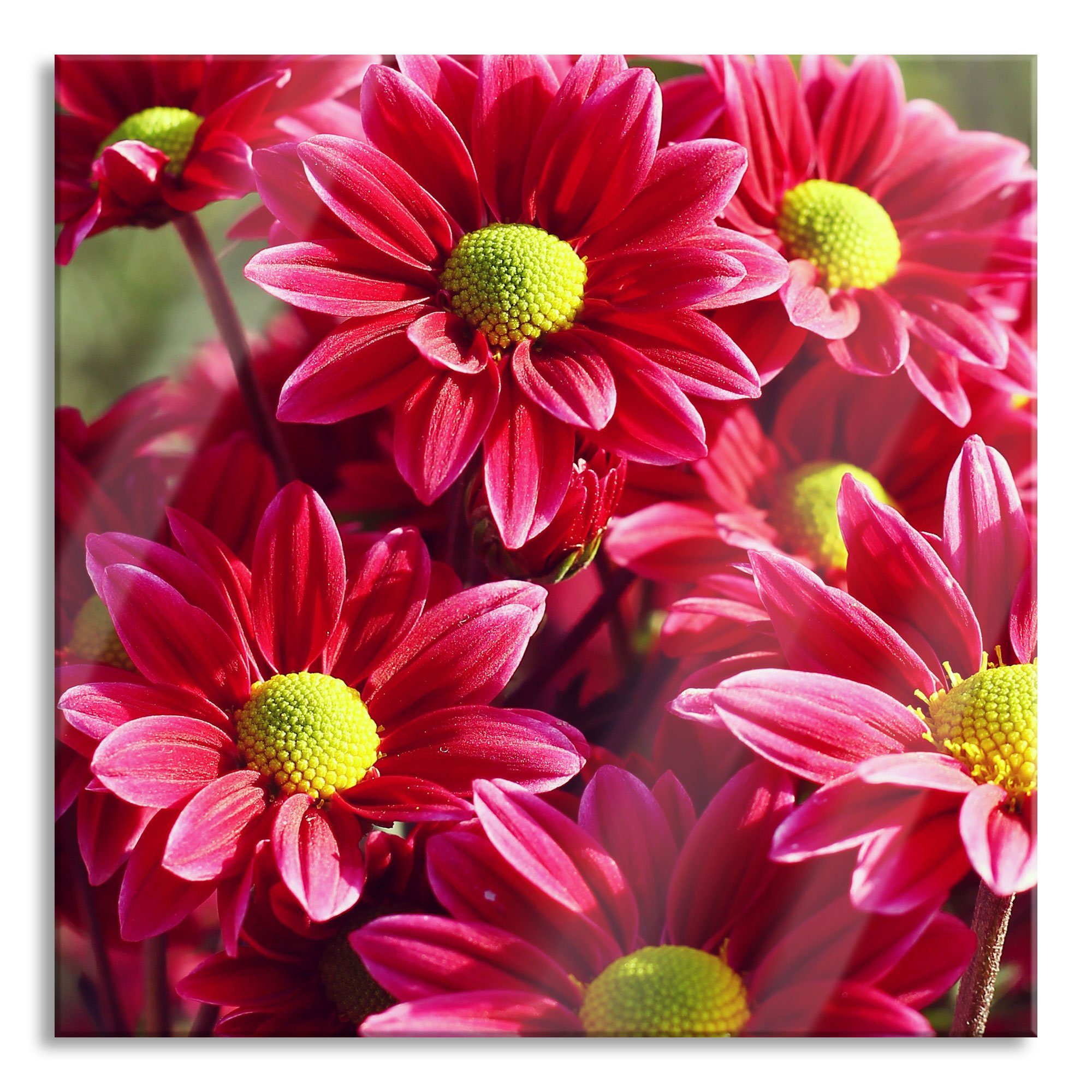Blüten Pixxprint inkl. (1 Blüten, Glasbild Echtglas, und Abstandshalter Glasbild St), Rote aus Rote Aufhängungen