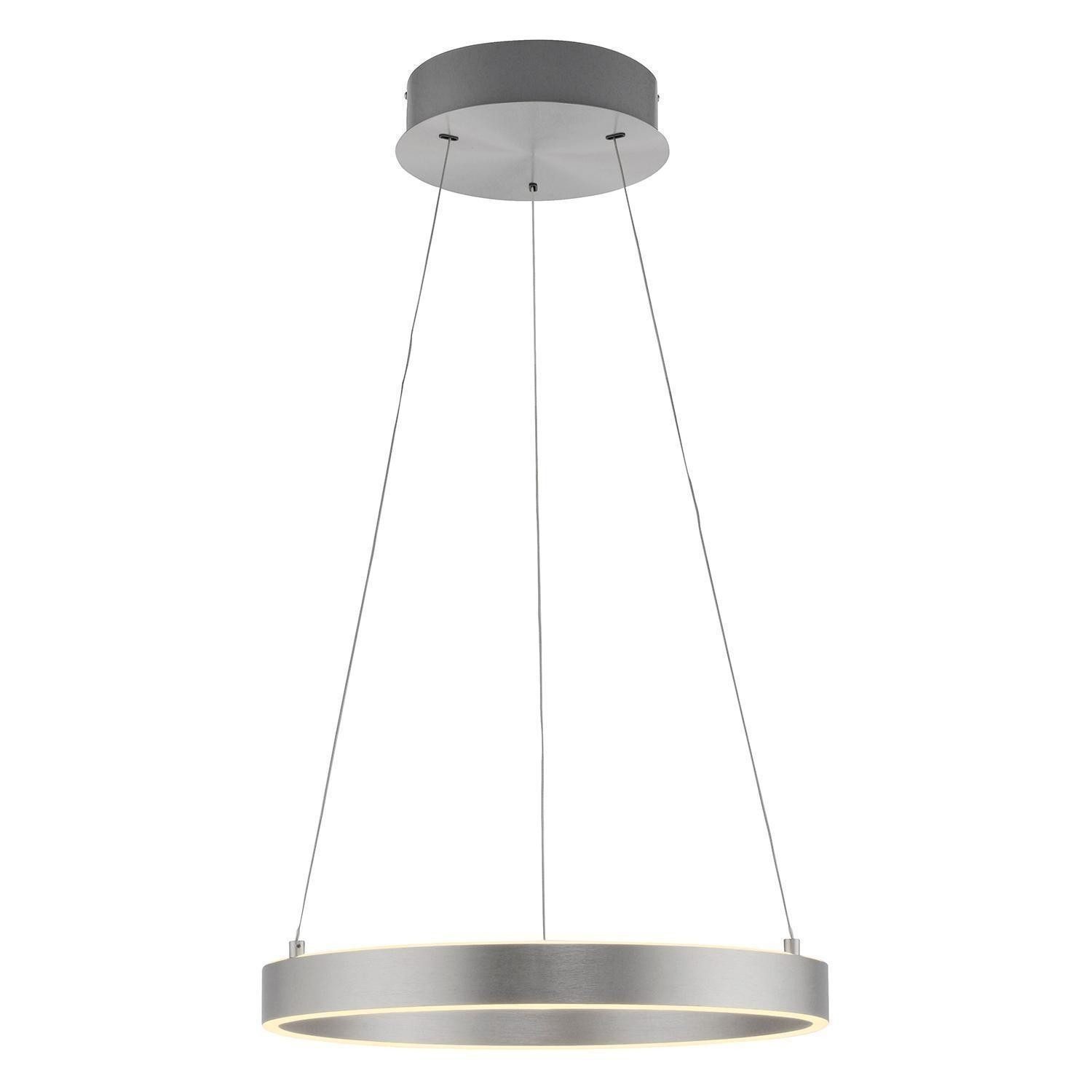 Paul Neuhaus LED Pendelleuchte ANILLO, 2-flammig, Grau, Aluminium, Stahl, Anpassung der Farbtemperatur, Dimmfunktion, LED fest integriert, Extra-Warmweiß, Neutralweiß, mit Fernbedienung, Ø 50 x H 180 cm