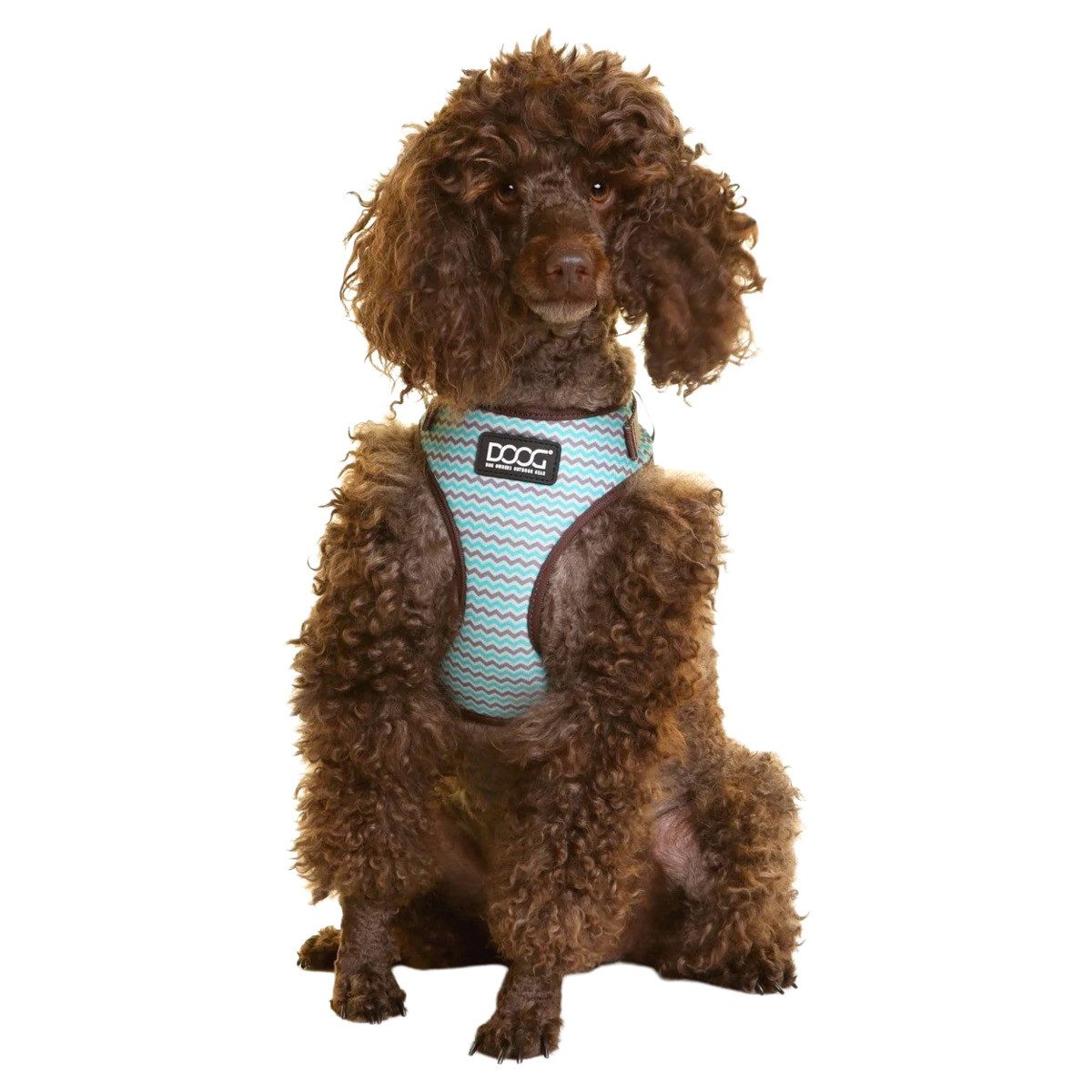 DOOG Hunde-Geschirr Neopren Geschirr Benji braun/blau zigzag