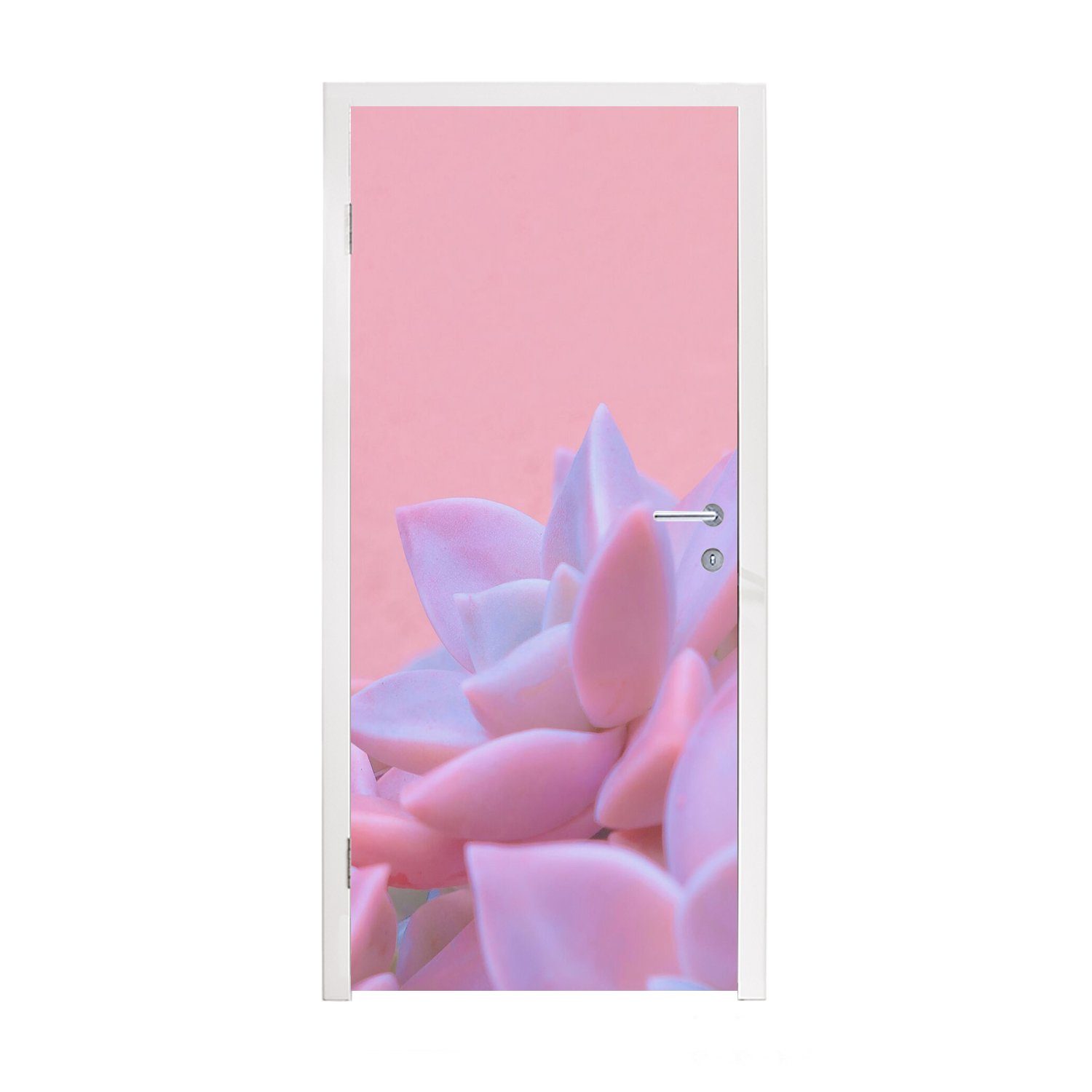MuchoWow Türtapete Sukkulente - Sommer - Rosa - Pflanzen, Matt, bedruckt, (1 St), Fototapete für Tür, Türaufkleber, 75x205 cm