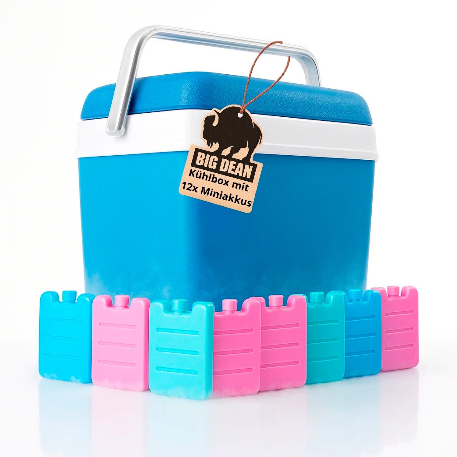 BigDean Thermobehälter Kühlbox inkl.12 Kühlakkus 24 Liter Kühlbox mit Akku für bis zu 11h, Kunststoff, (Set, 1-tlg., Kühlbox inklusive Miniakkus), Robust, Stromlos, Outdoor geeignet