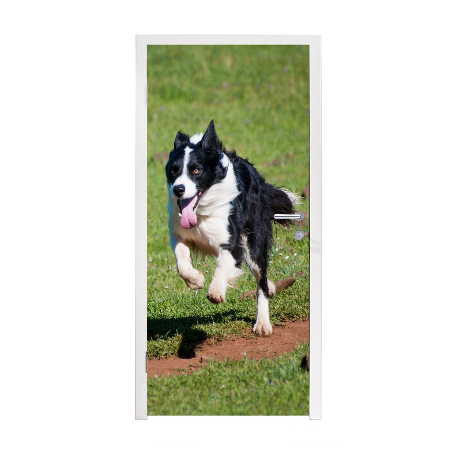 MuchoWow Türtapete Ein aktiver Border Collie läuft über das Feld, Matt, bedruckt, (1 St), Fototapete für Tür, Türaufkleber, 75x205 cm