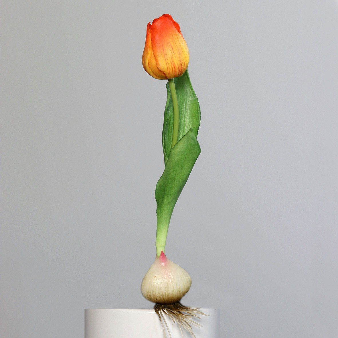 Kunstpflanze, DPI, Höhe 25 cm, Orange H:25cm Kunststoff