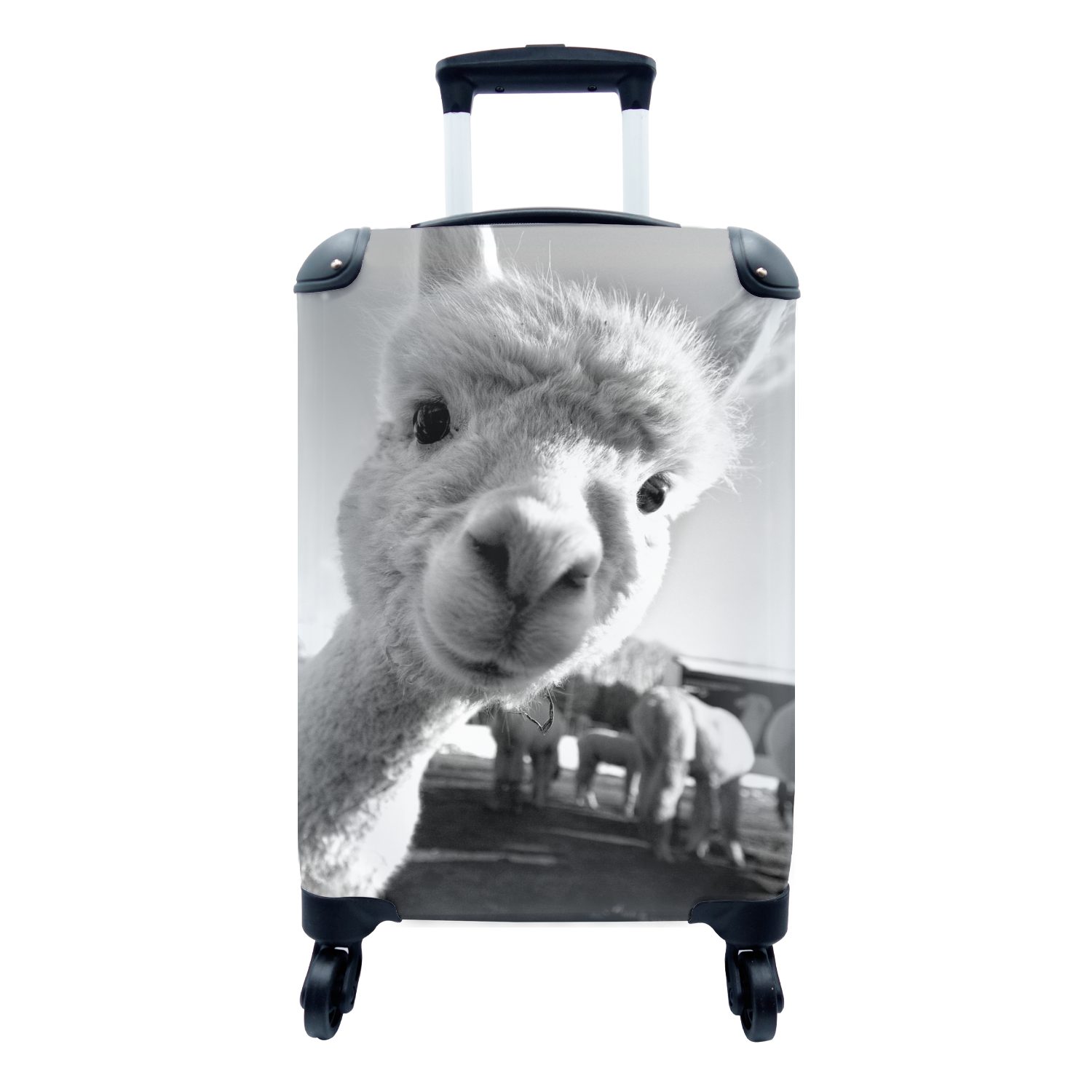 MuchoWow Handgepäckkoffer Baby Alpaka schaut in die Kamera - schwarz und weiß, 4 Rollen, Reisetasche mit rollen, Handgepäck für Ferien, Trolley, Reisekoffer | Handgepäck-Koffer