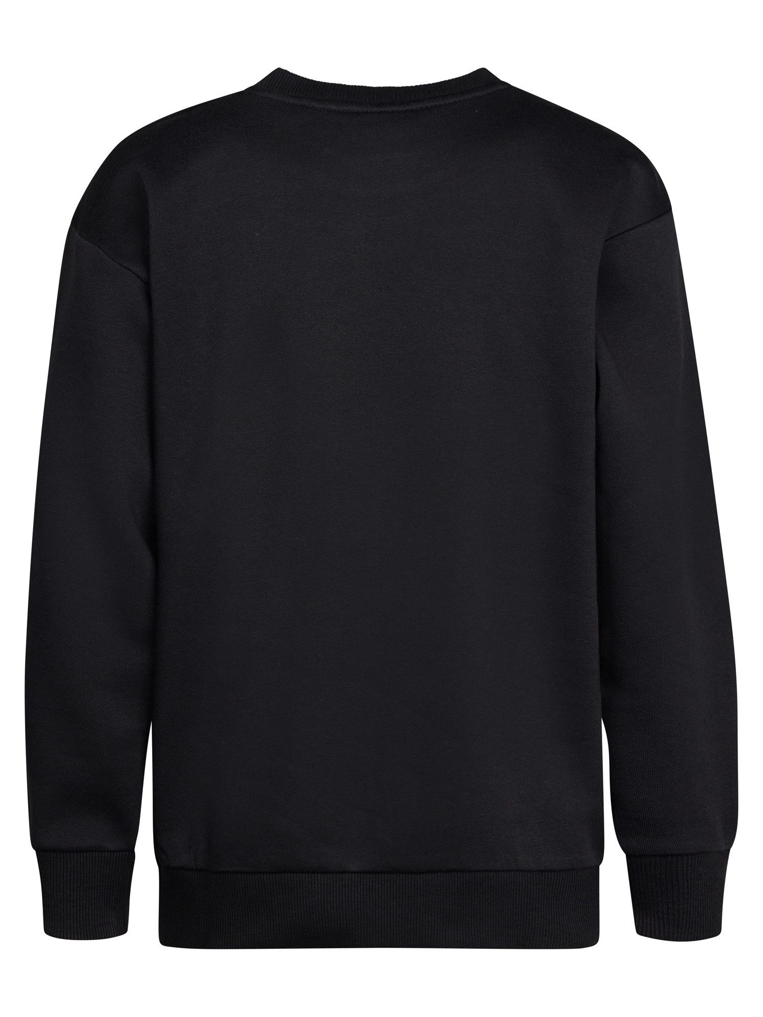 Petrol Industries Sweatshirt Adirondack