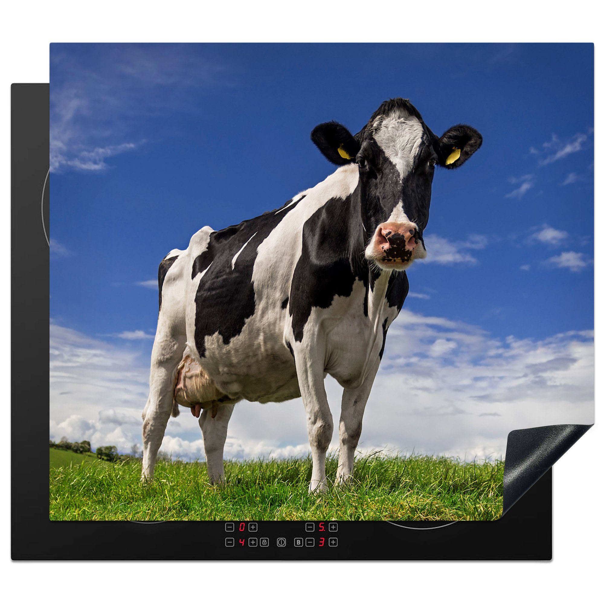 tlg), Herdblende-/Abdeckplatte (1 59x52 küche, Gras Induktionsmatte Ceranfeldabdeckung für MuchoWow - Blau cm, die Kuh Tiere, Vinyl, - -