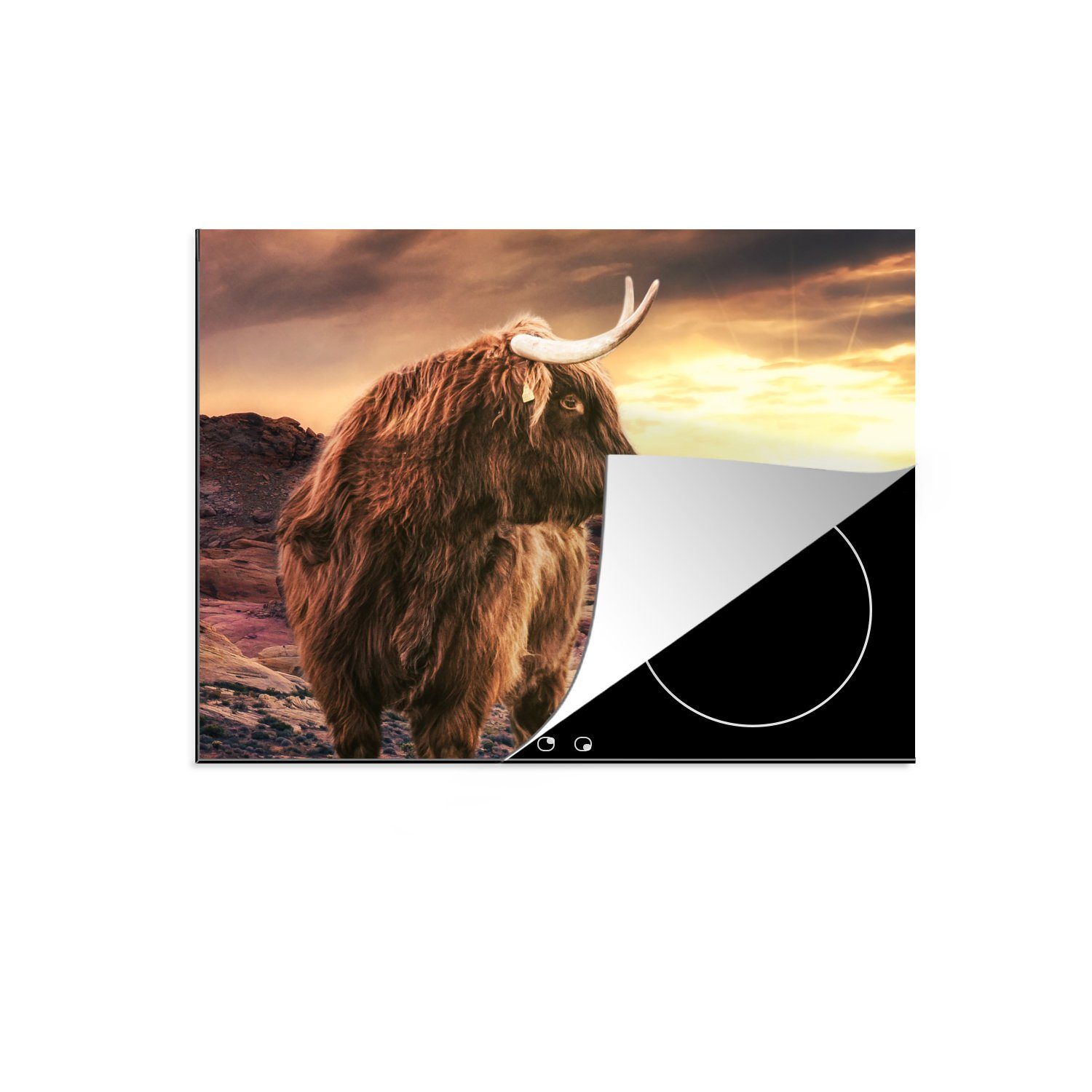 MuchoWow Herdblende-/Abdeckplatte Schottischer Highlander - Kuh - Horizont, Vinyl, (1 tlg), 71x52 cm, Induktionskochfeld Schutz für die küche, Ceranfeldabdeckung