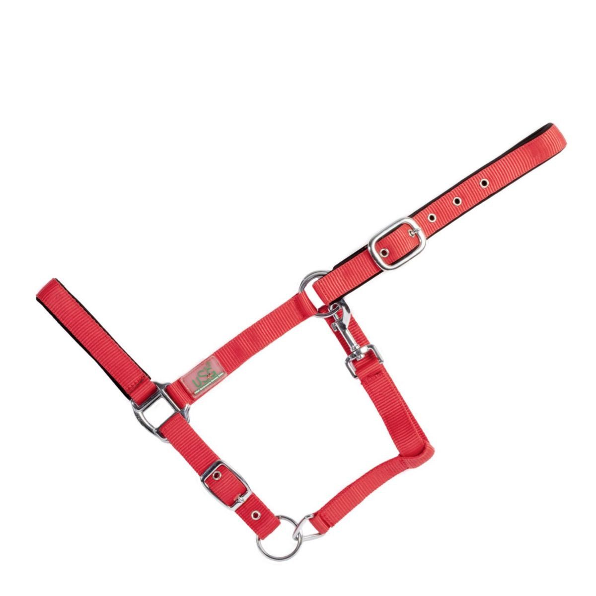 USG Halfter Halfter Pferd Vollblut cob gepolstert verschiedene Farben, Nylon, Metall, gepolstert