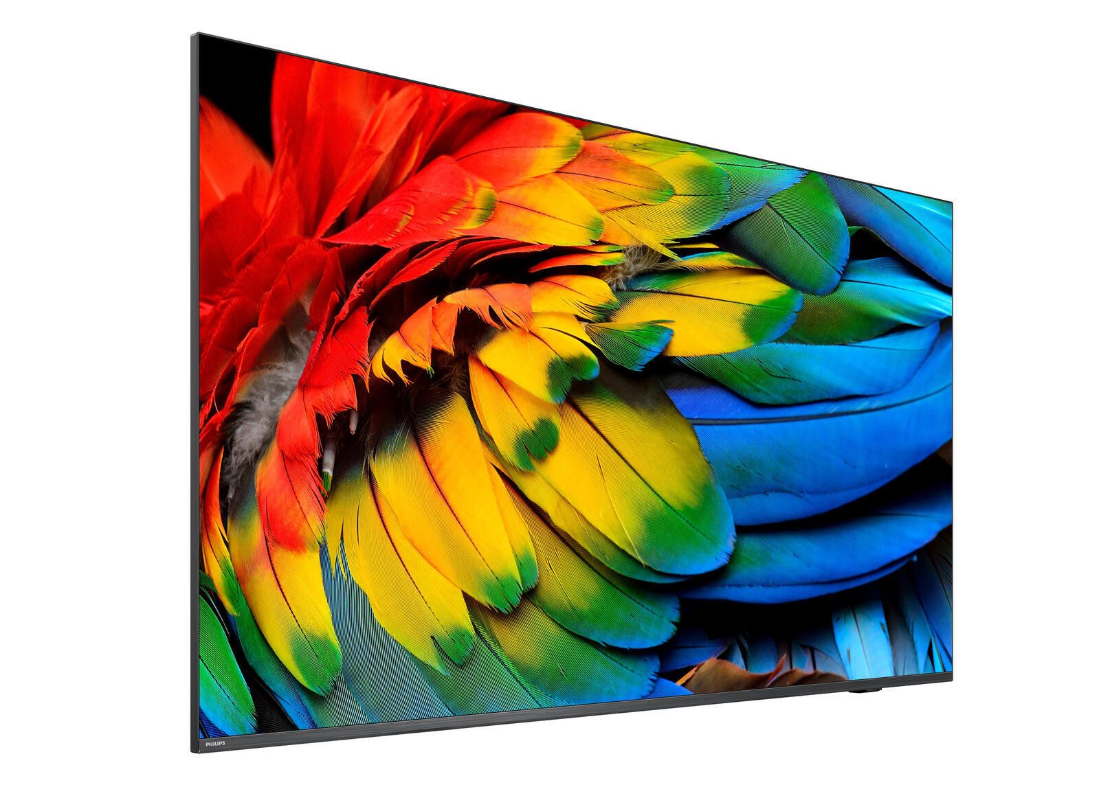 Philips 43HFL6214U/12 LED-Fernseher