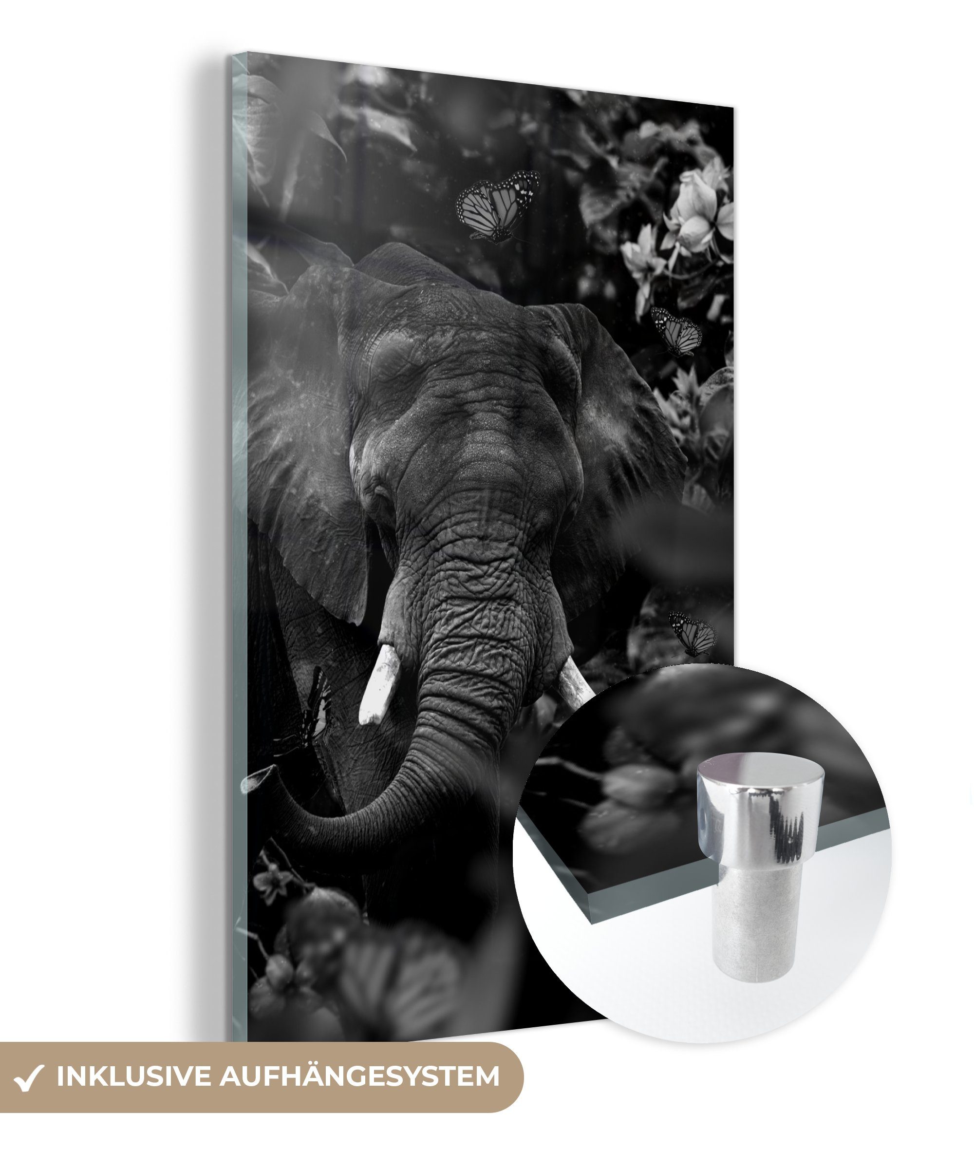 MuchoWow Acrylglasbild und schwarz bunt St), - - - und (1 Dschungel - Schmetterlinge auf weiß, Wanddekoration Elefant Wandbild Bilder Foto auf Glasbilder im Glas Glas