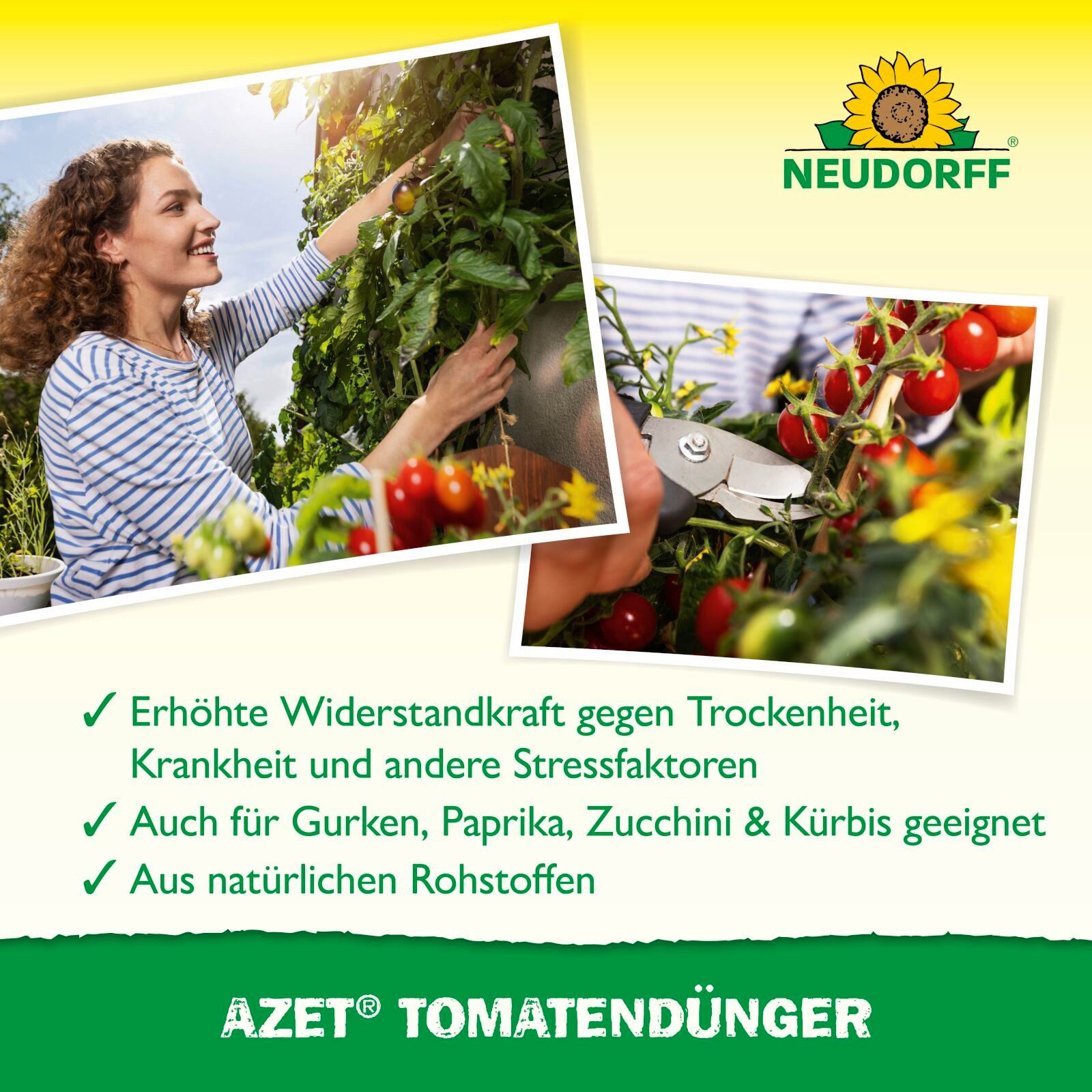 Neudorff Tomatendünger Azet TomatenDünger 1 kg – Bild 4 von 5