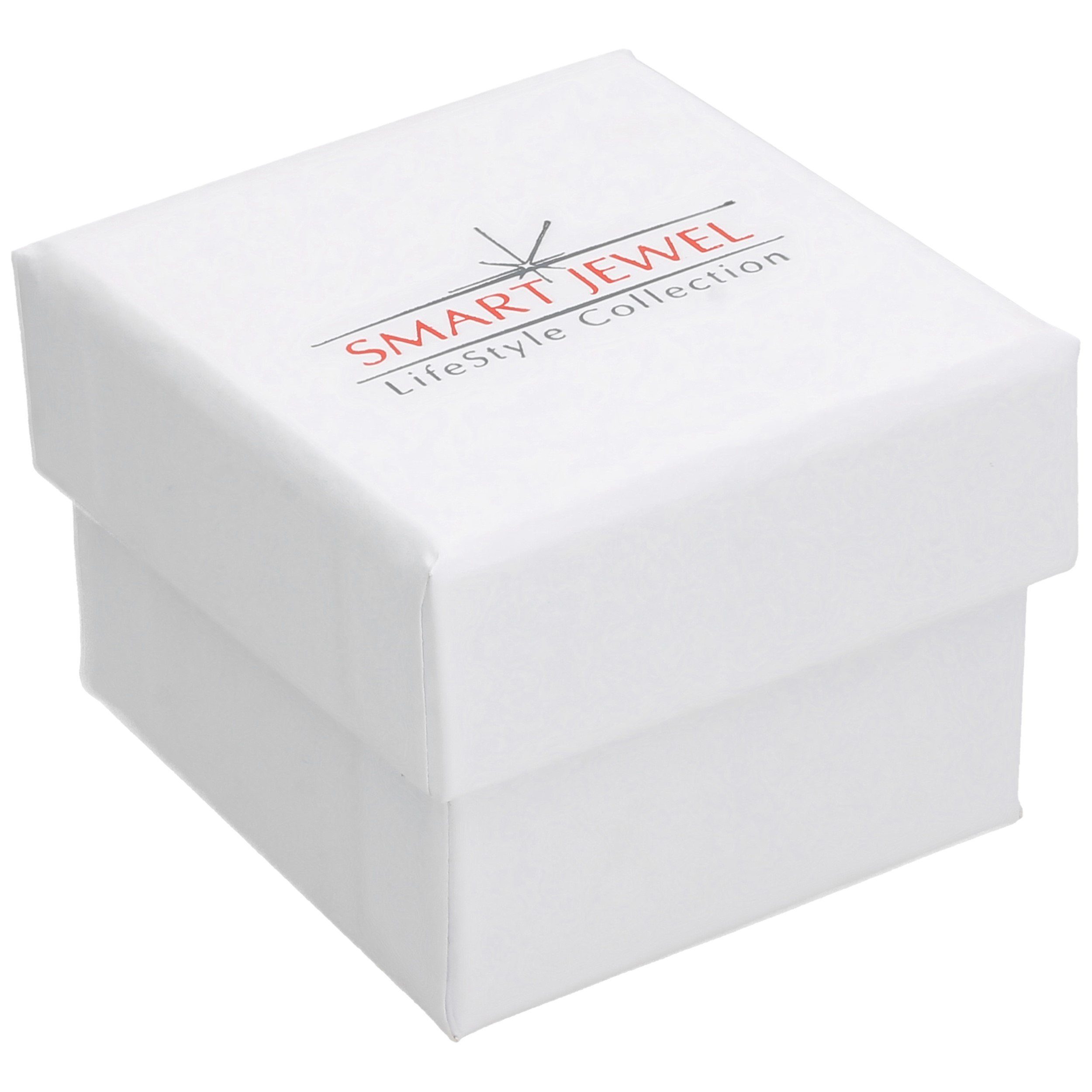 Smart Jewel Paar Ohrhaken elegant mit Brisur, Silber 925