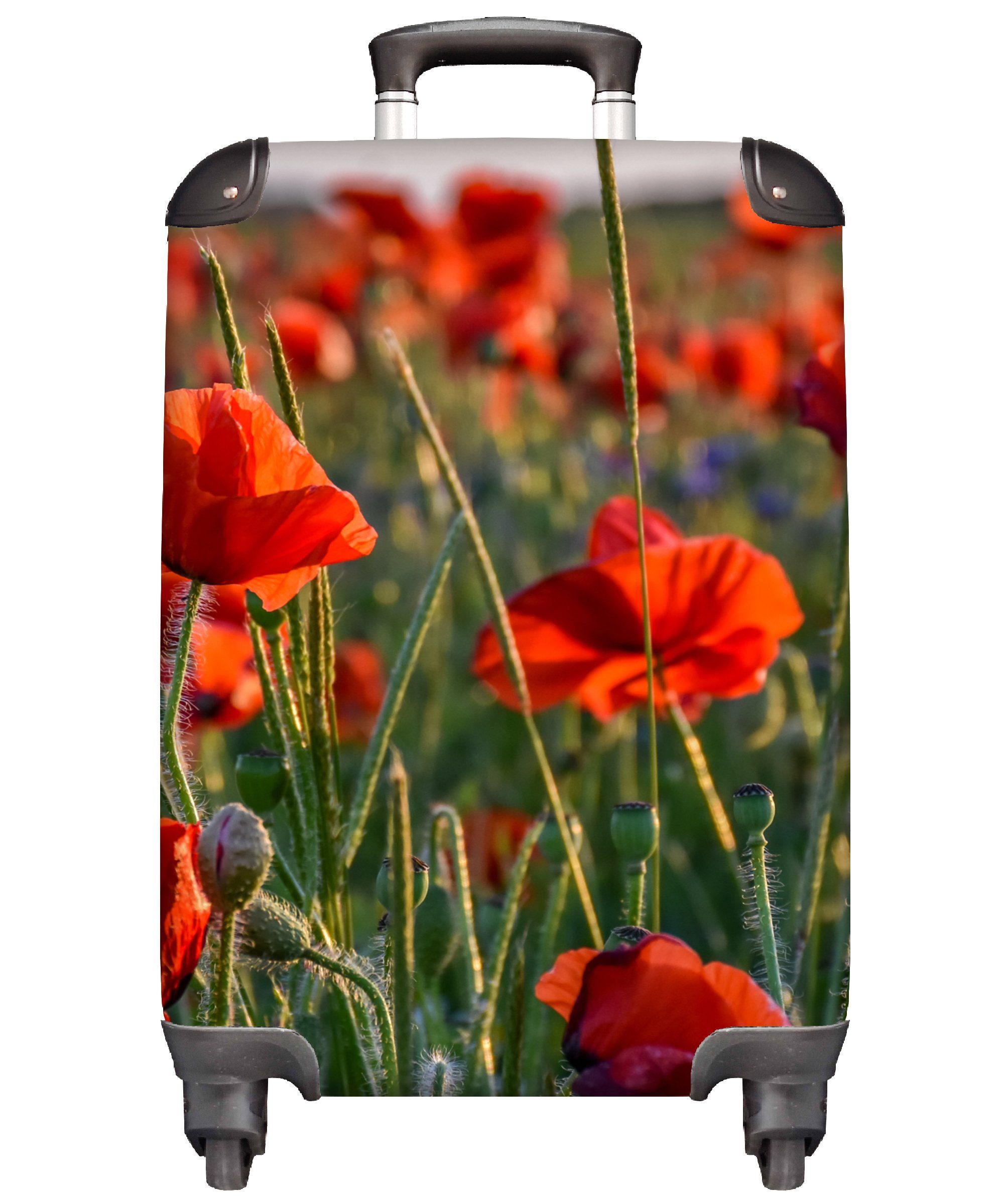 MuchoWow Handgepäckkoffer Blumen - Mohnblumen - Natur - Rot, 4 Rollen, Reisetasche mit rollen, Handgepäck für Ferien, Trolley, Reisekoffer