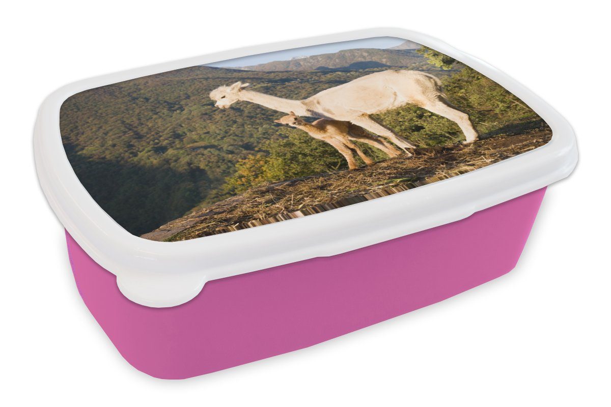 MuchoWow Lunchbox Alpakas - Berge - Natur, Kunststoff, (2-tlg), Brotbox für Erwachsene, Brotdose Kinder, Snackbox, Mädchen, Kunststoff rosa