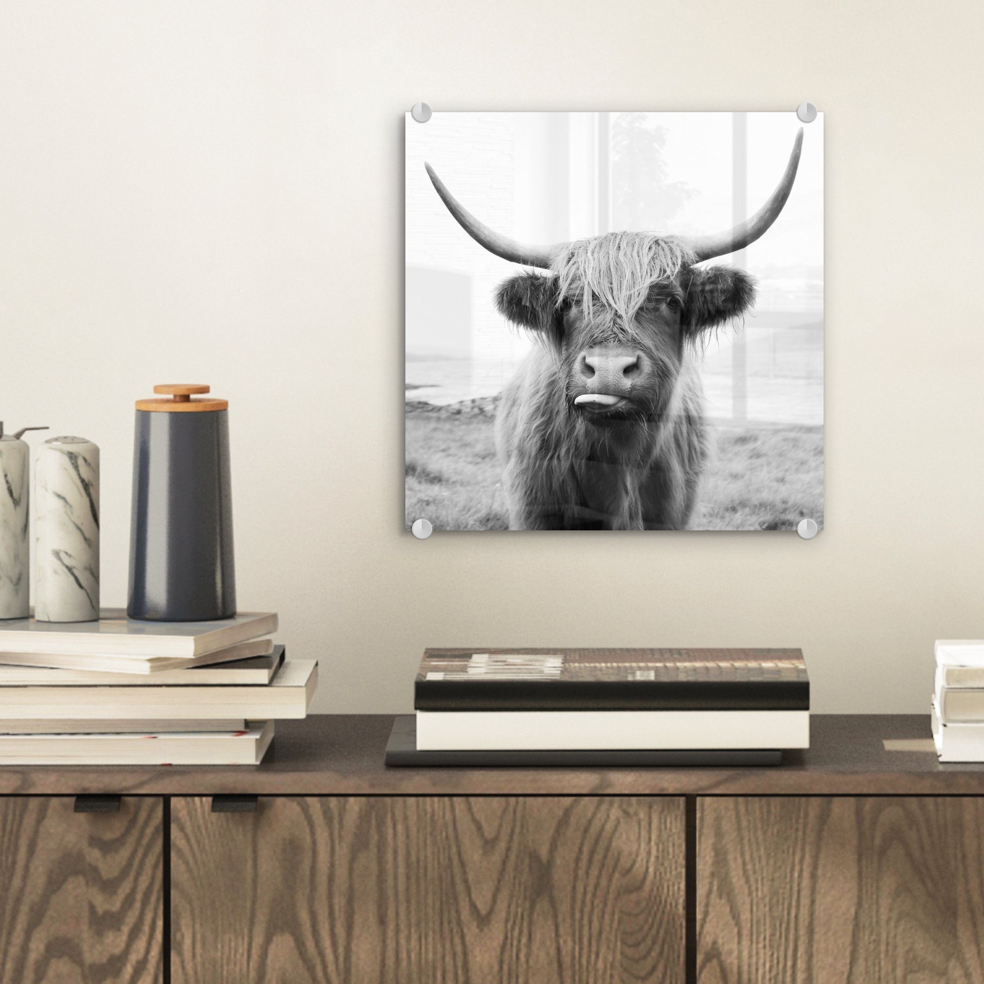 MuchoWow Acrylglasbild Tiere - Schottischer Highlander günstig online kaufen