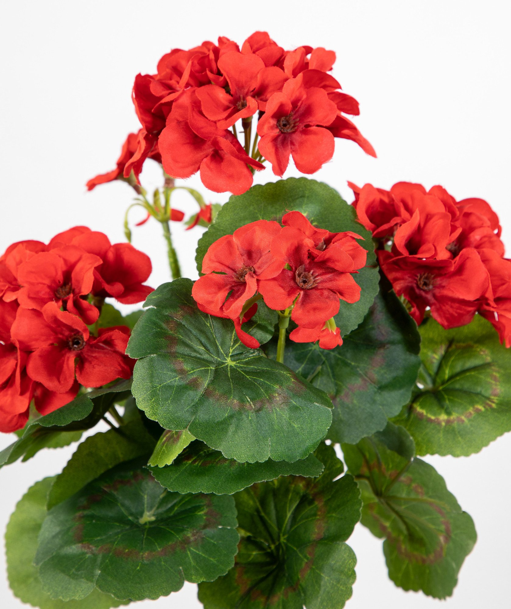 Kunstblume Geranie 32cm LM Kunstpflanzen künstliche Blumen Pflanzen Pelargonium, Seidenblumen Roß, Höhe 32 cm, Rot – Bild 4 von 5