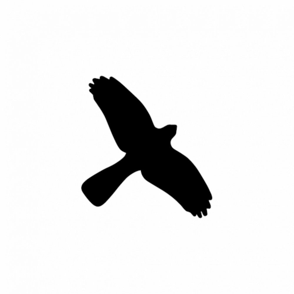 Hinweisschild Vogelschutz Aufkleber für Fenster